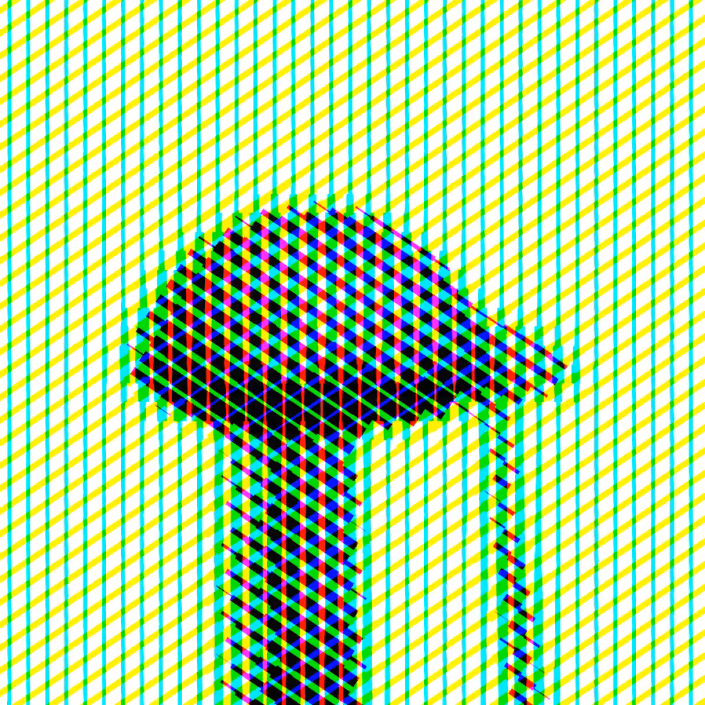 Psilocybe Azurescens #20