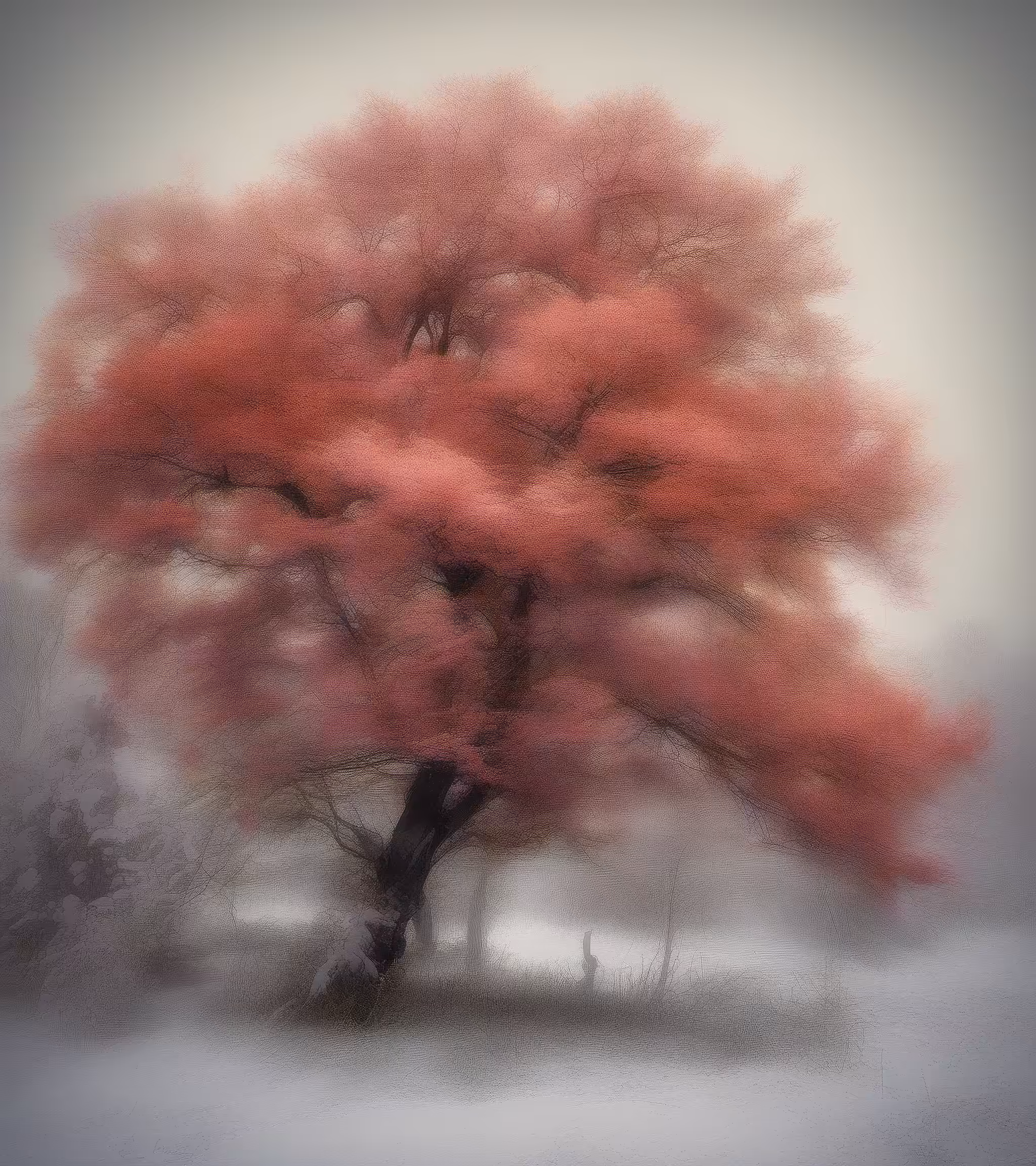 Tree Studies #19
