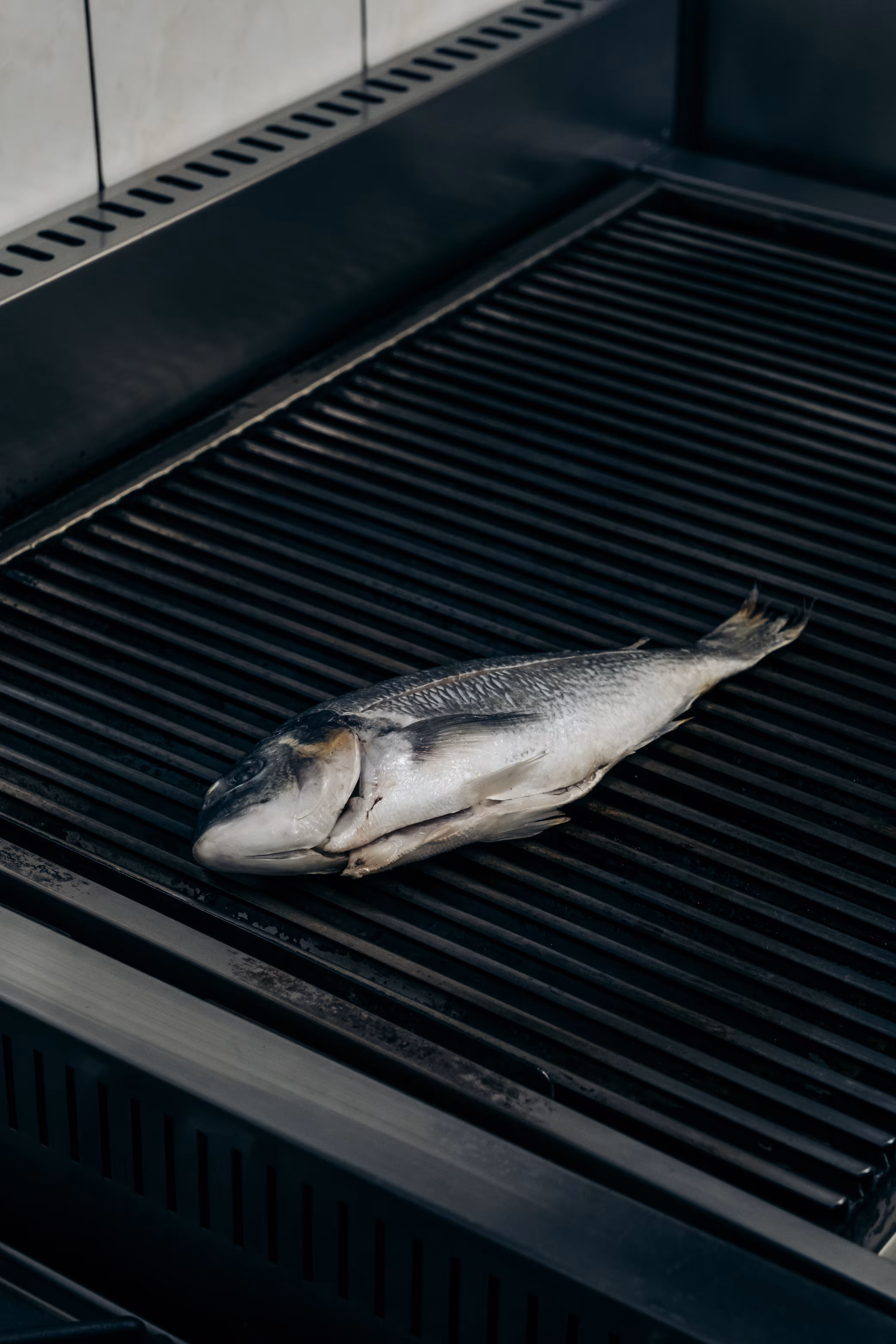 The Fish