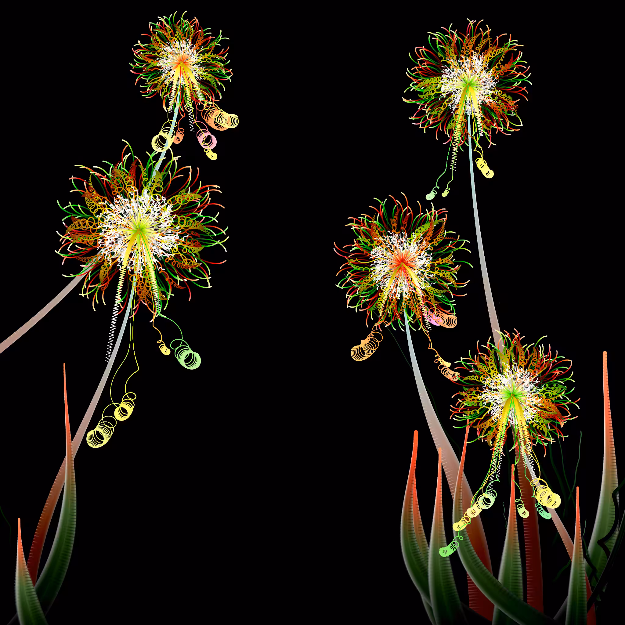 Milena’s Flowers #25