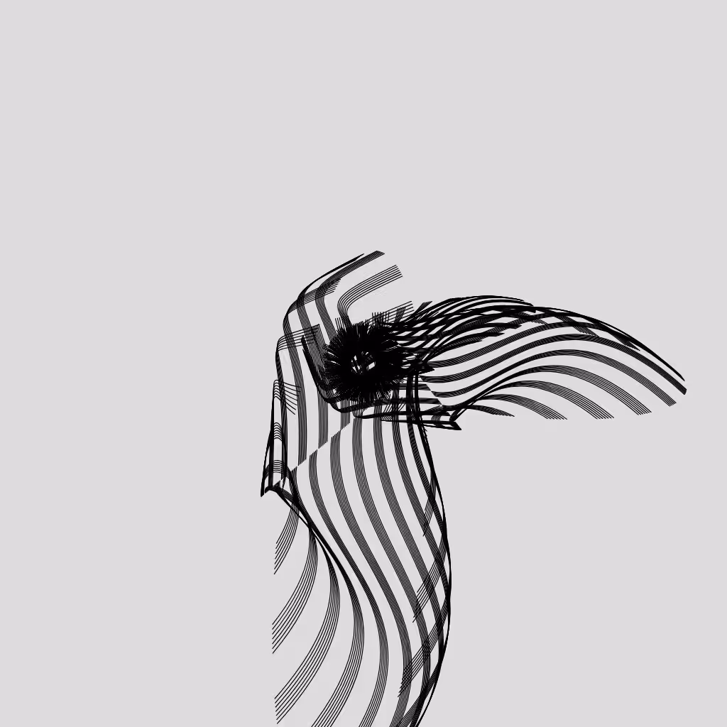 ANATOMY of a rabbit but bird #28
