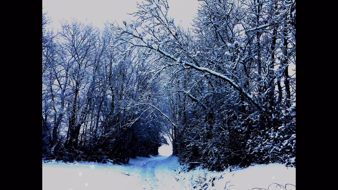 Winter Warmth