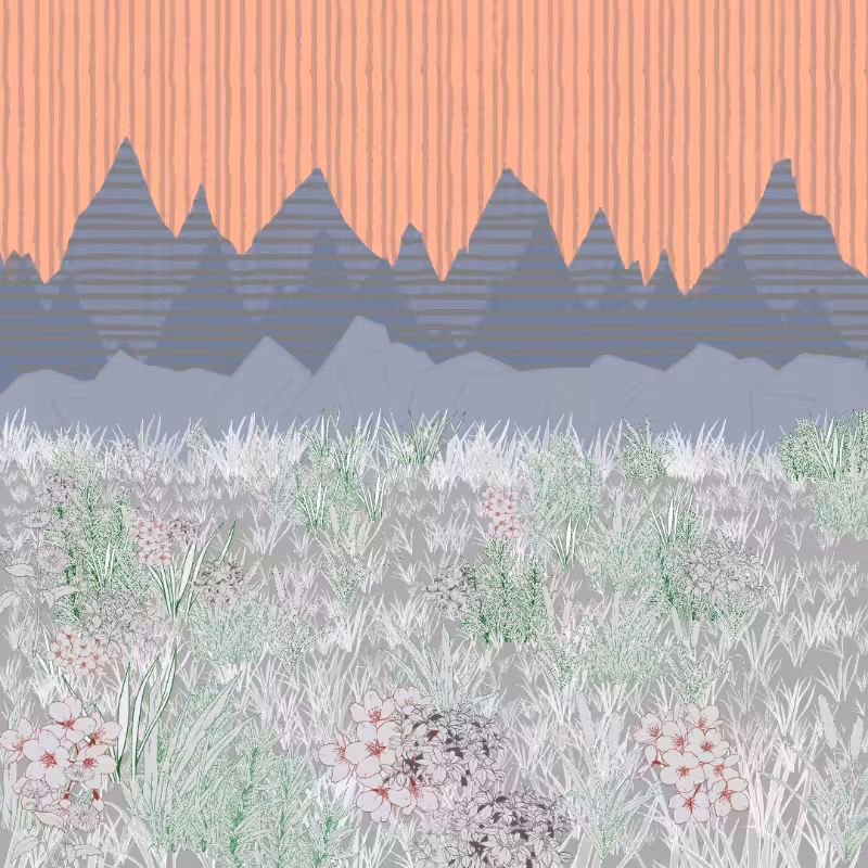 Mountain Meadows #32