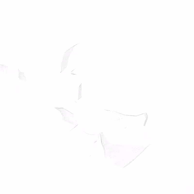 traces #83