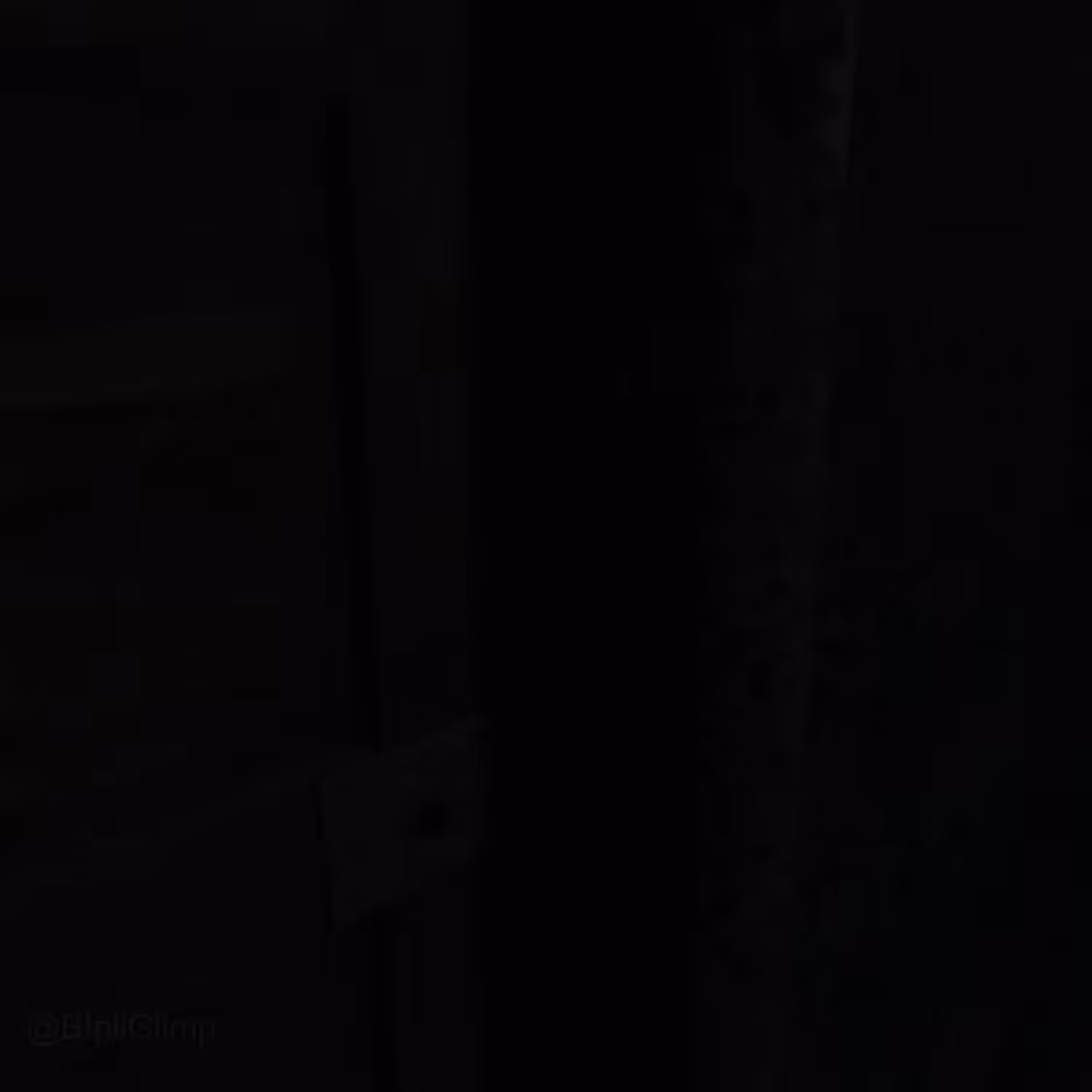 Something in the hallway