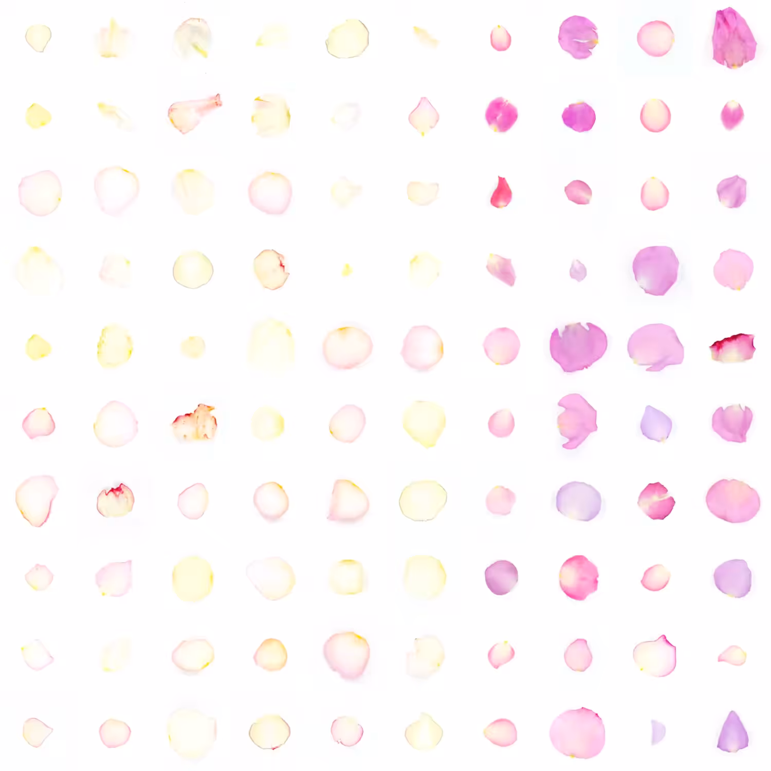 Infinite Petals 10x10#2796