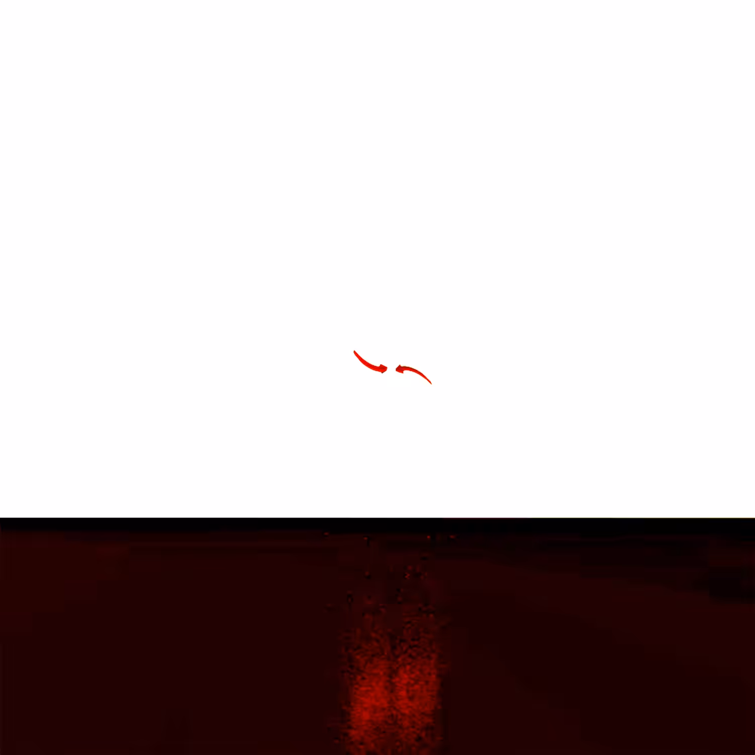 ARROWS BURNING
