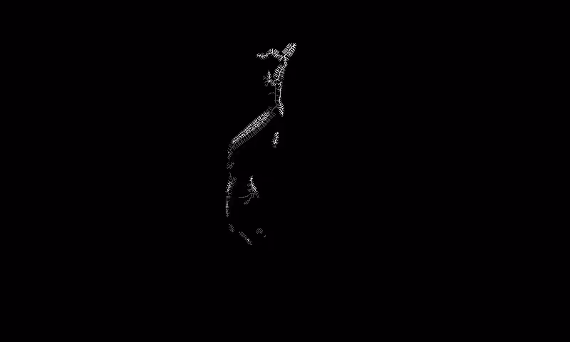 Skeletro-dance (1/1)