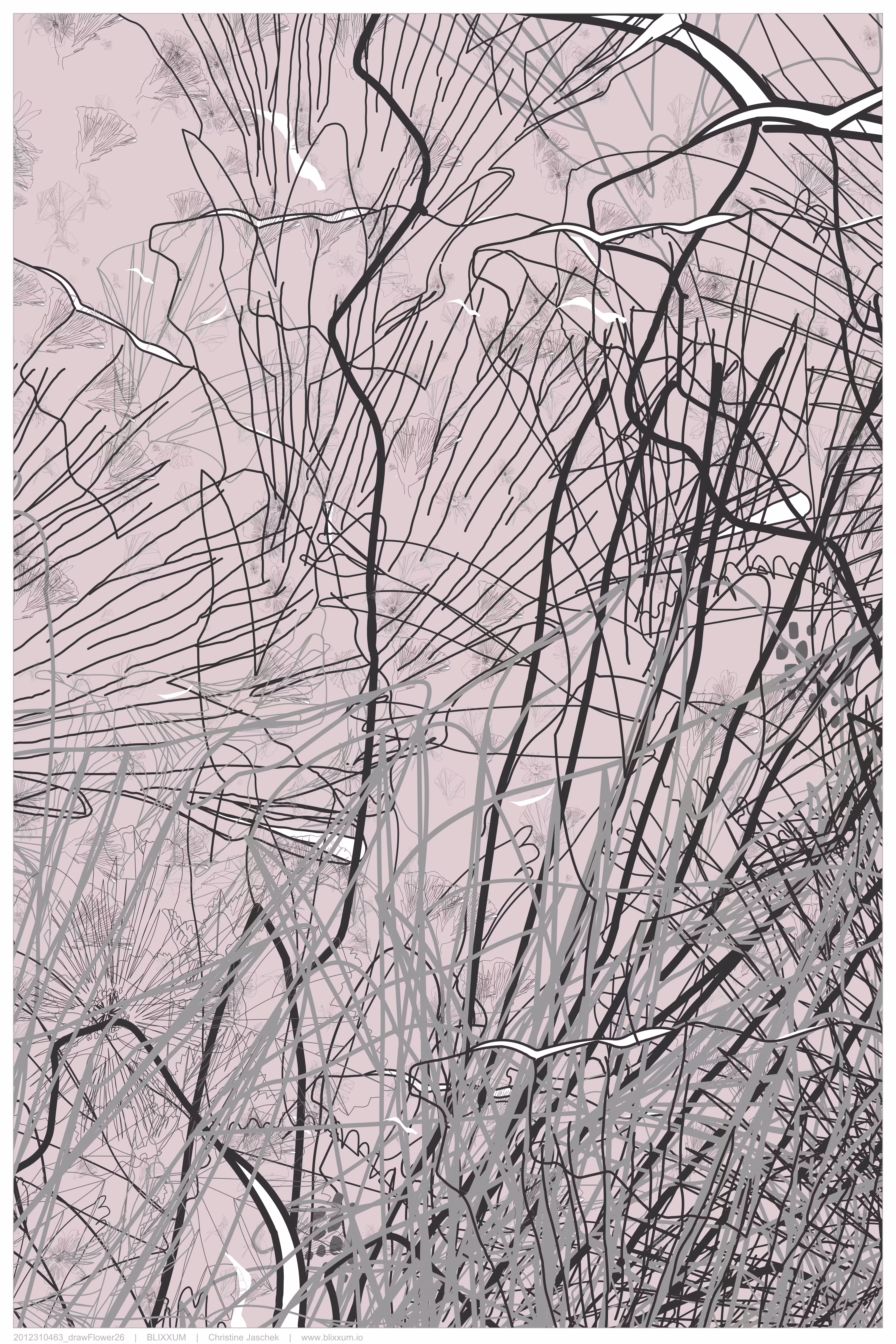 drawFlower26