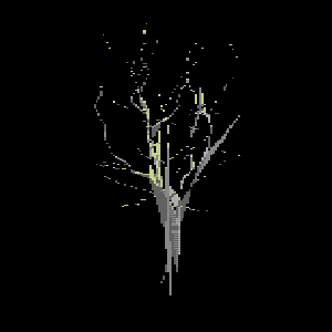 Rodeo post #643: BranchXYZ