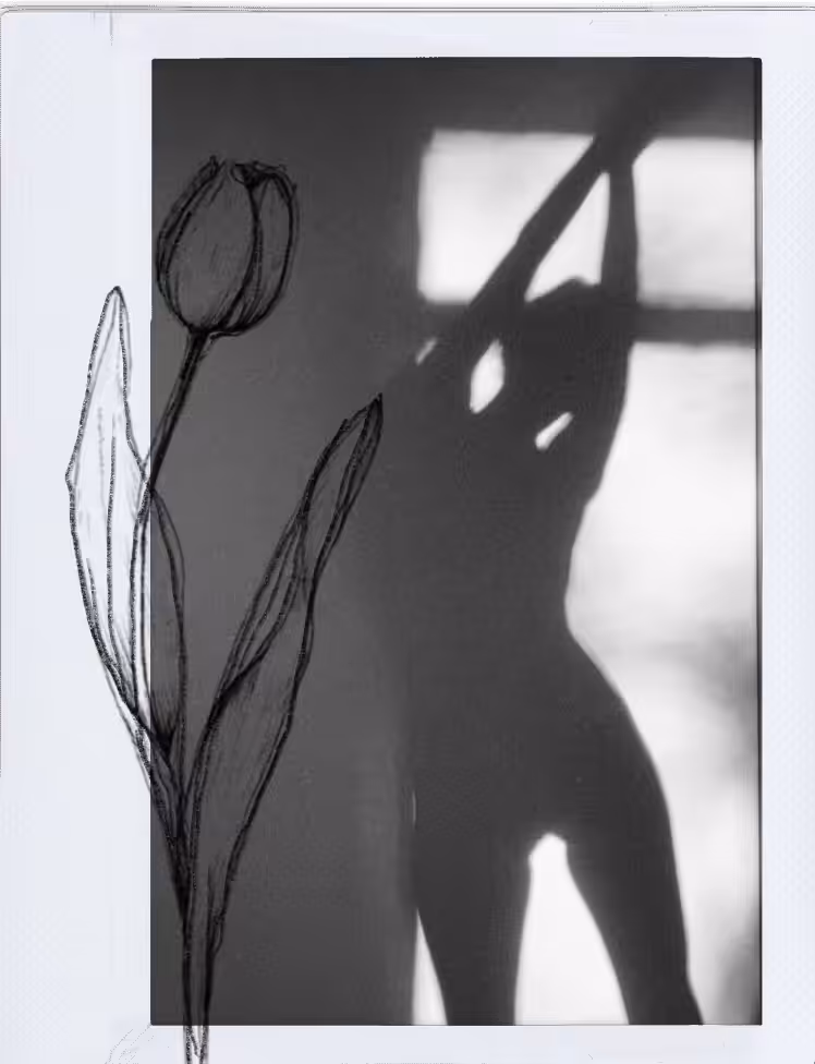 Polaroid 70