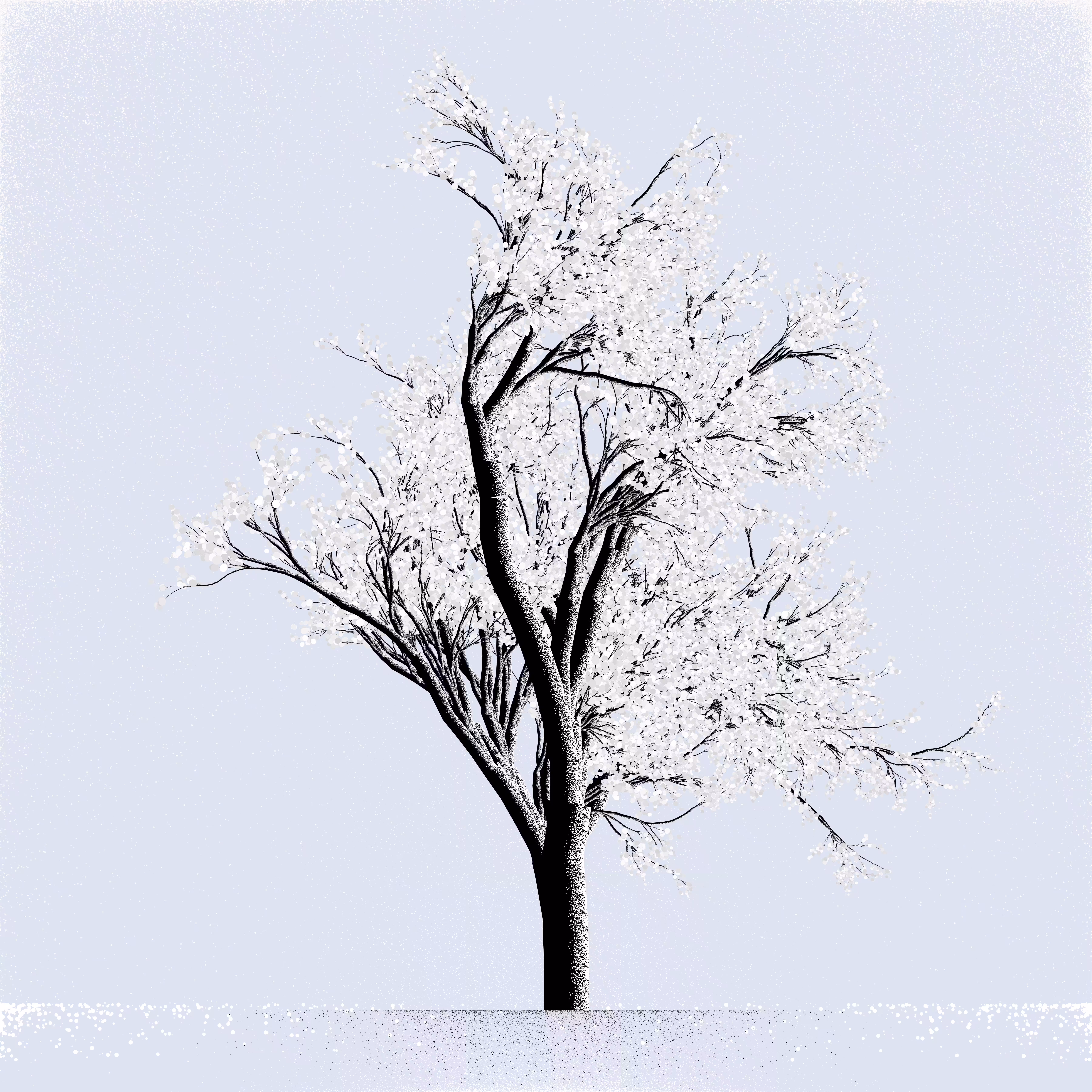 Snow Tree #12