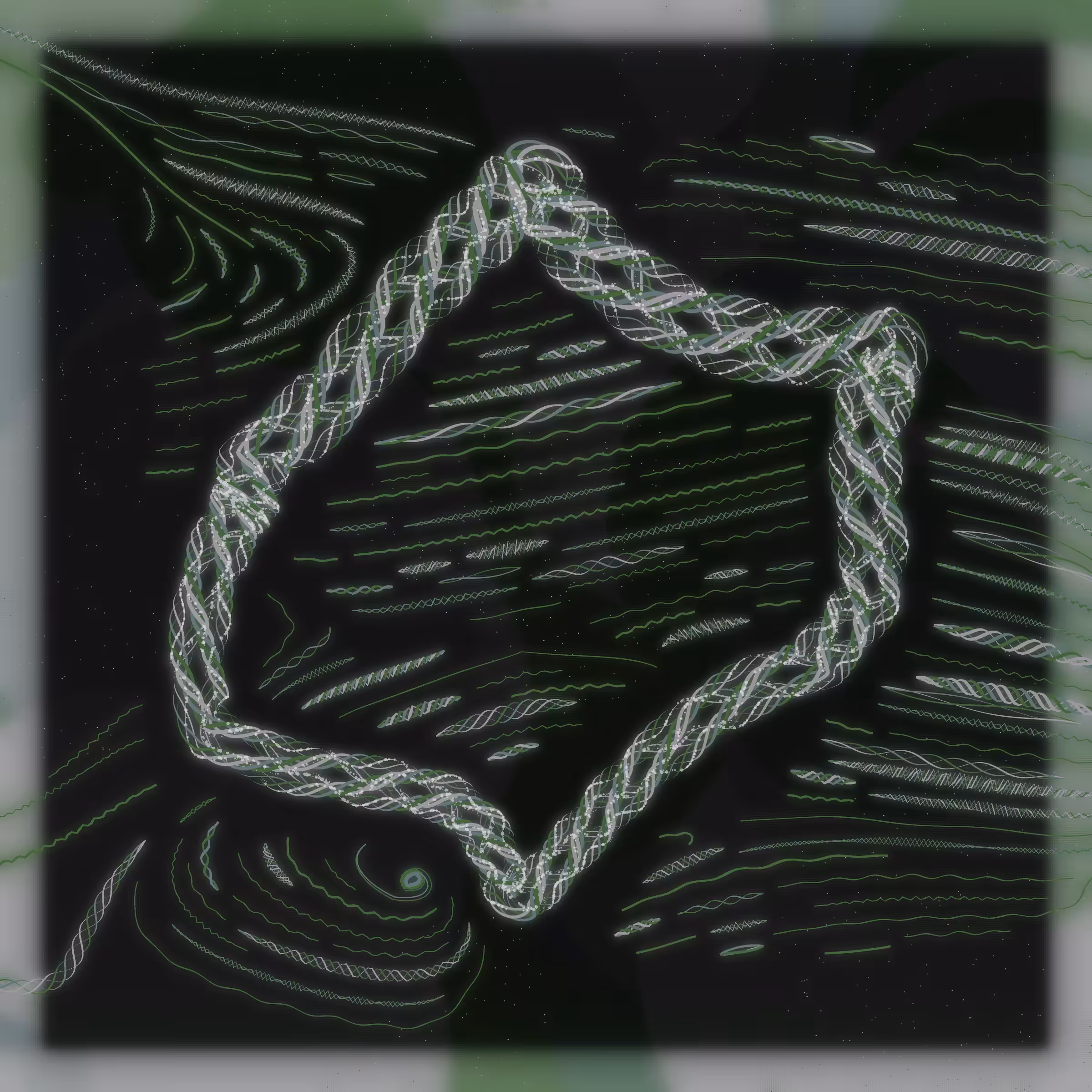 Friendship Bracelets #289