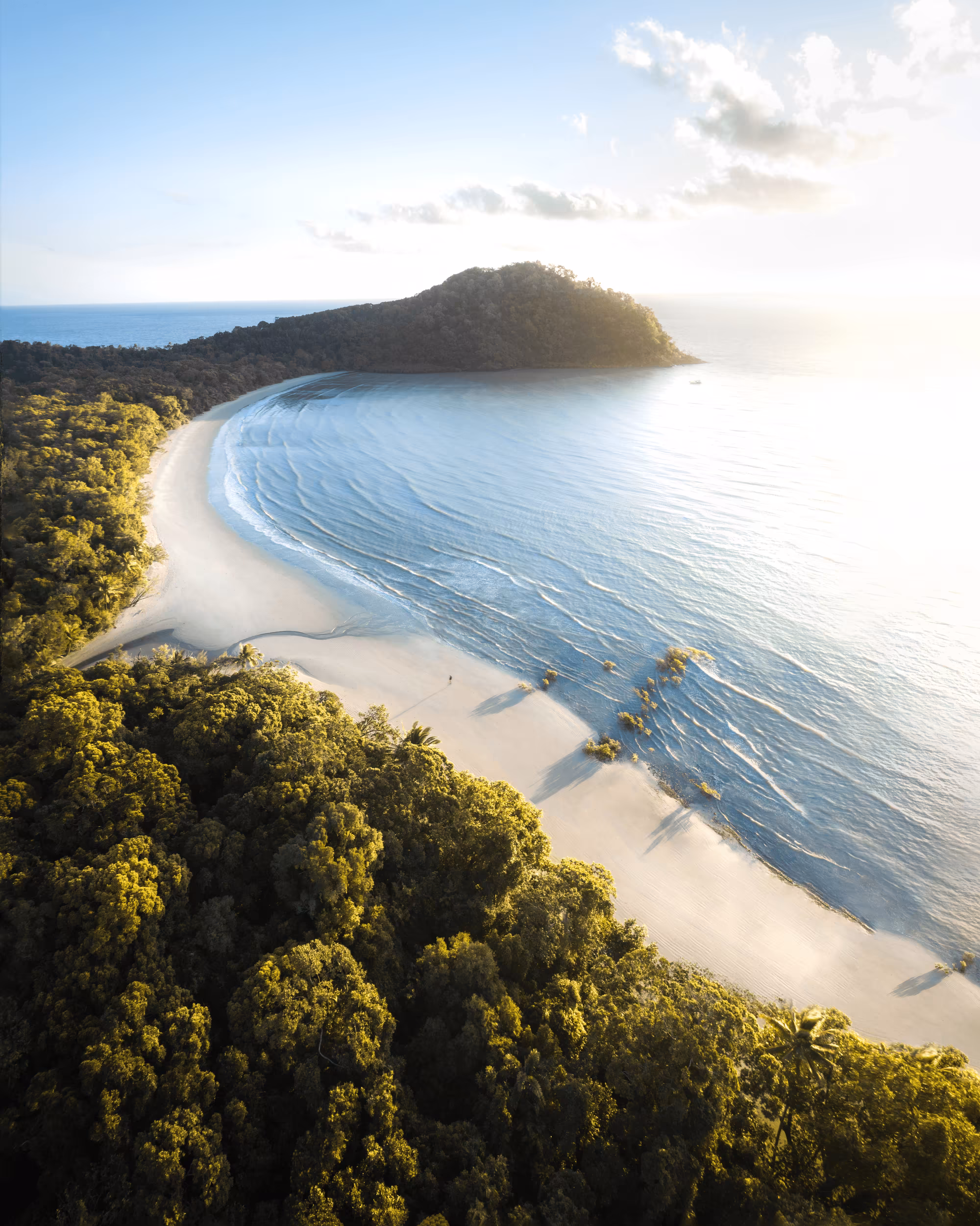#01: Cape Tribulation 