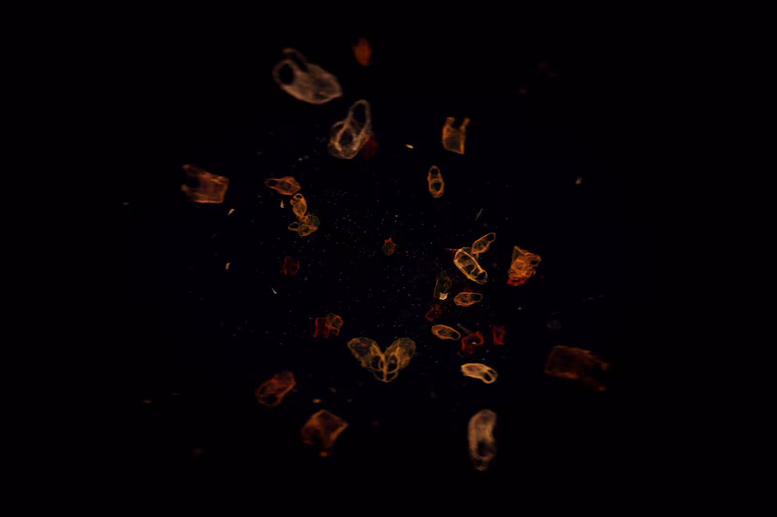 Turtle Vision #14