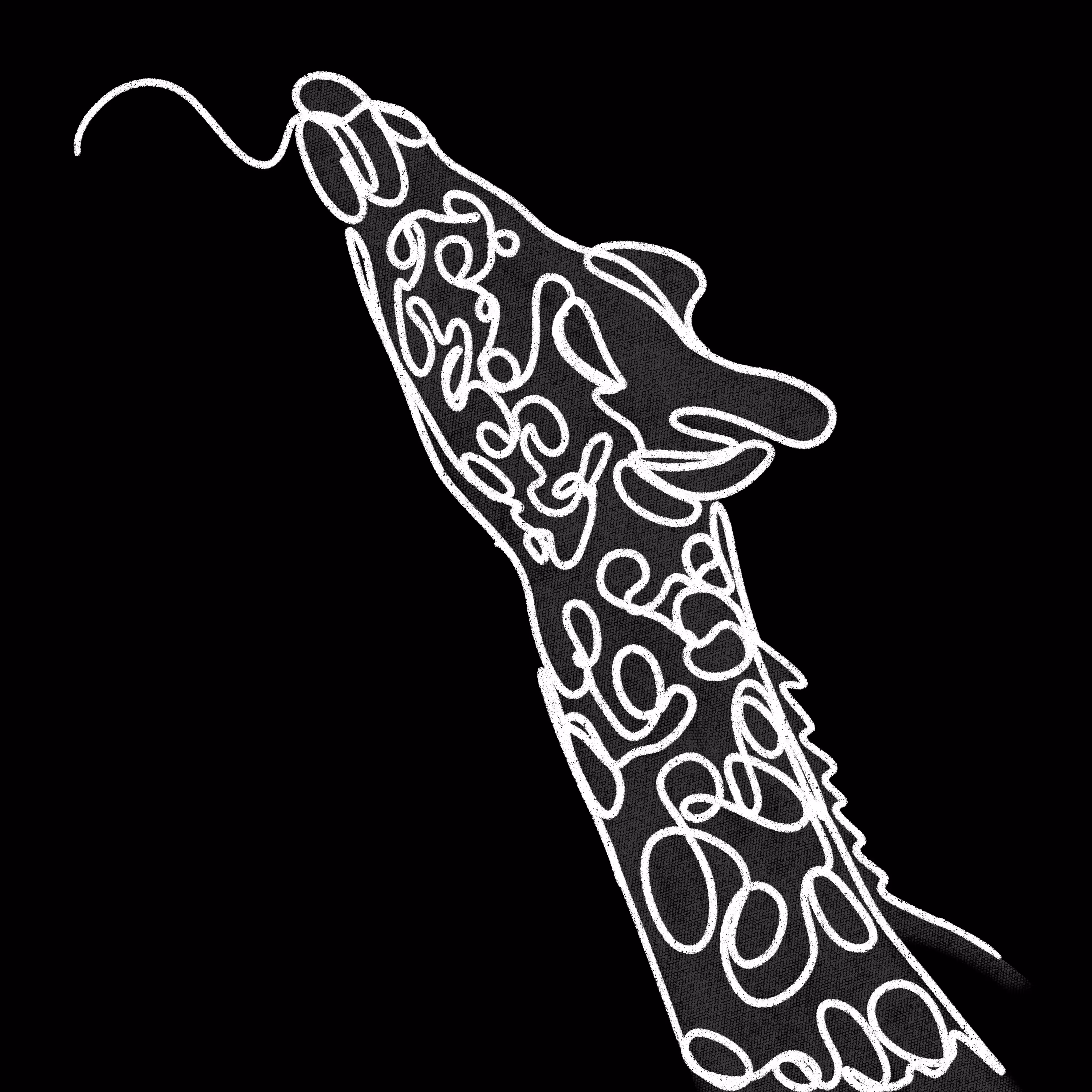 Lineart nv°002