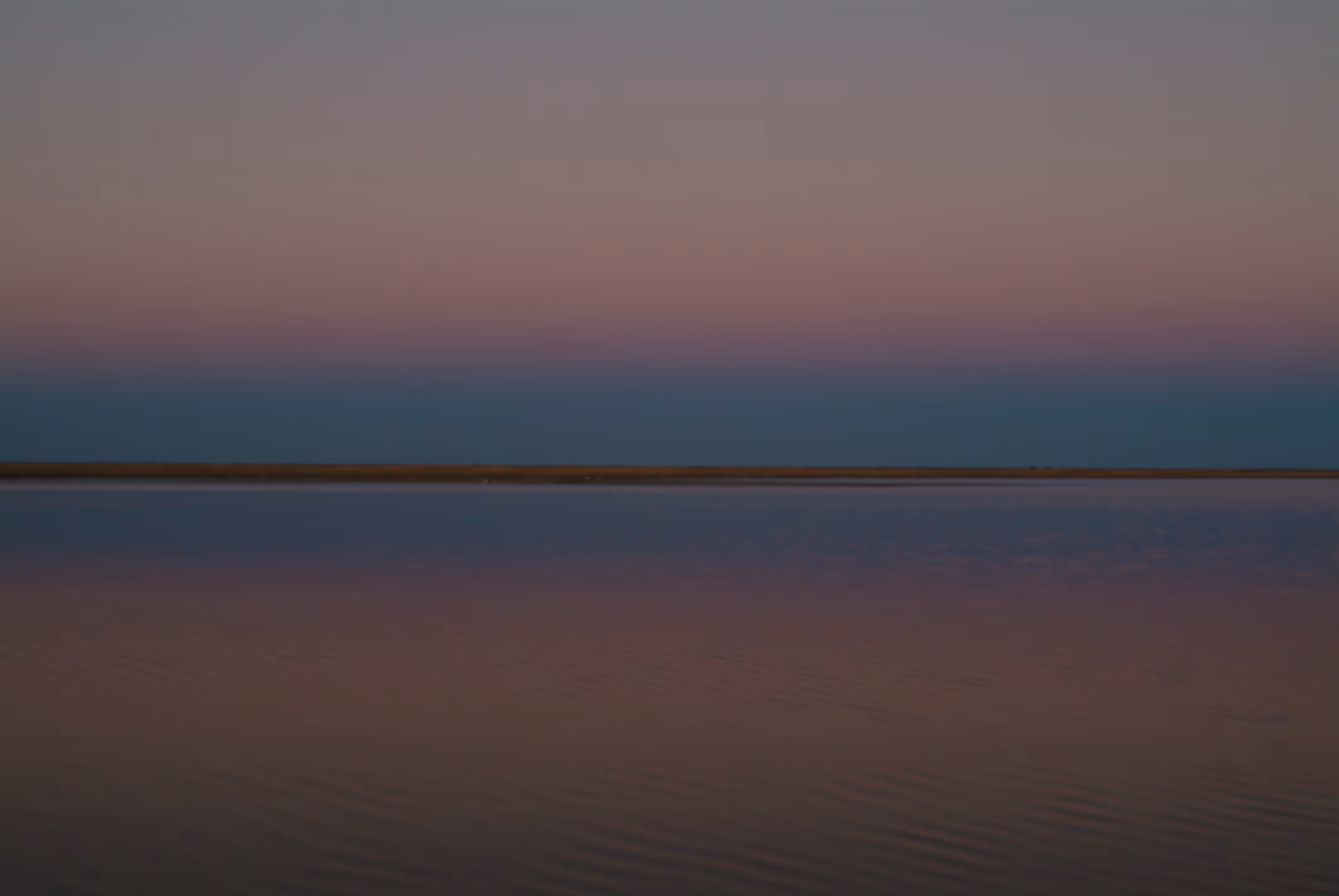 Flamingo Sundown
