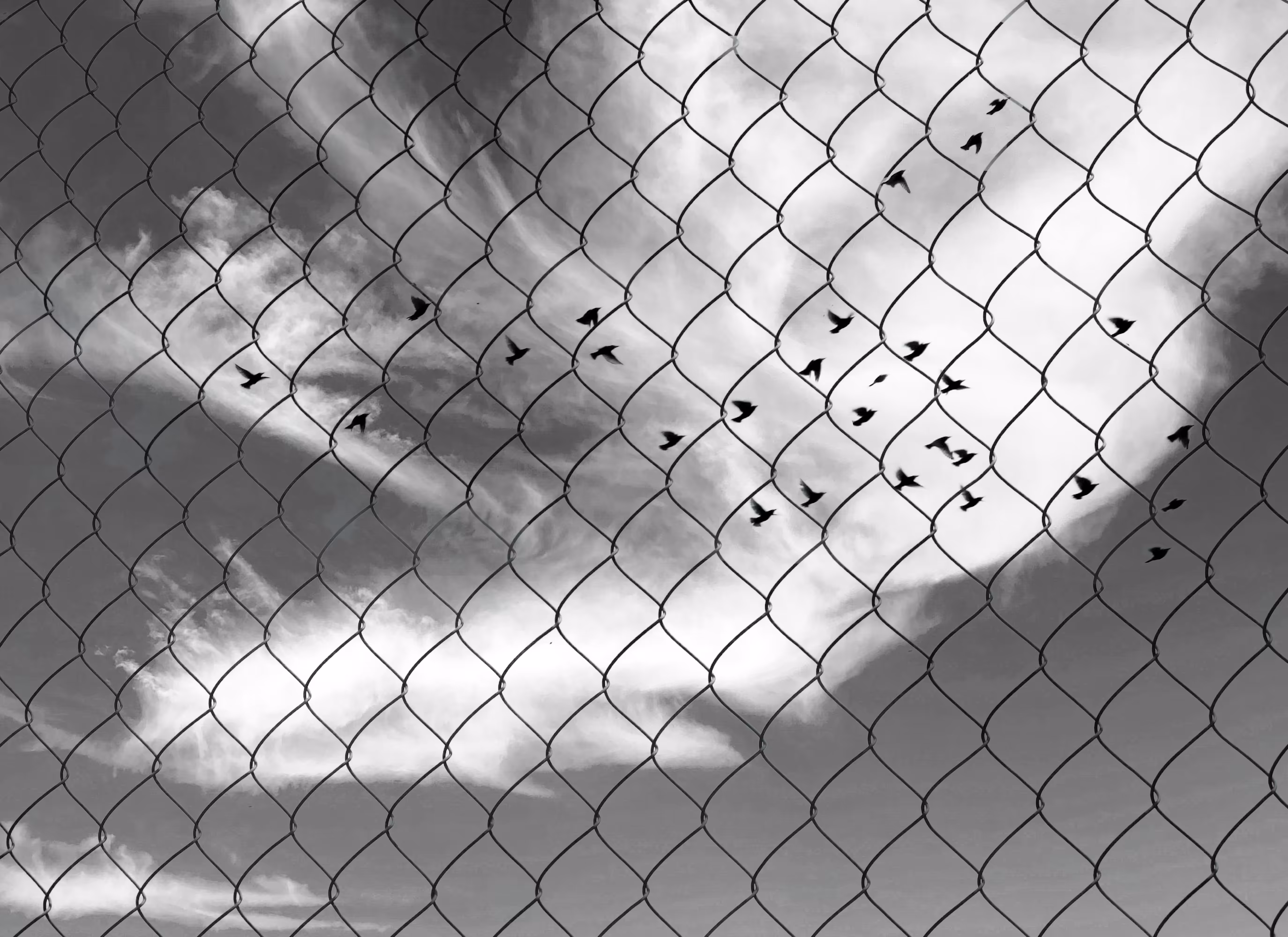 The sky from behind the fence