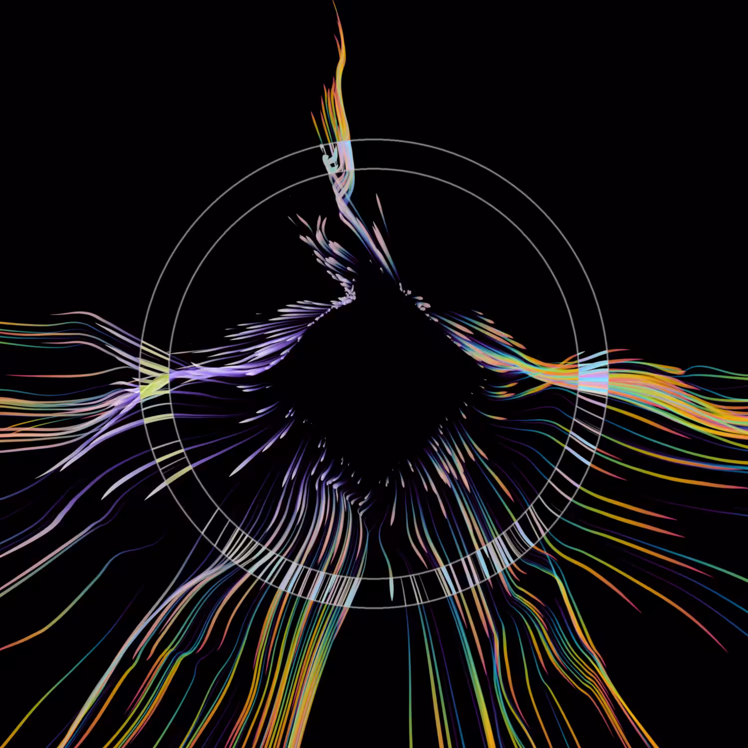 Vortex #981