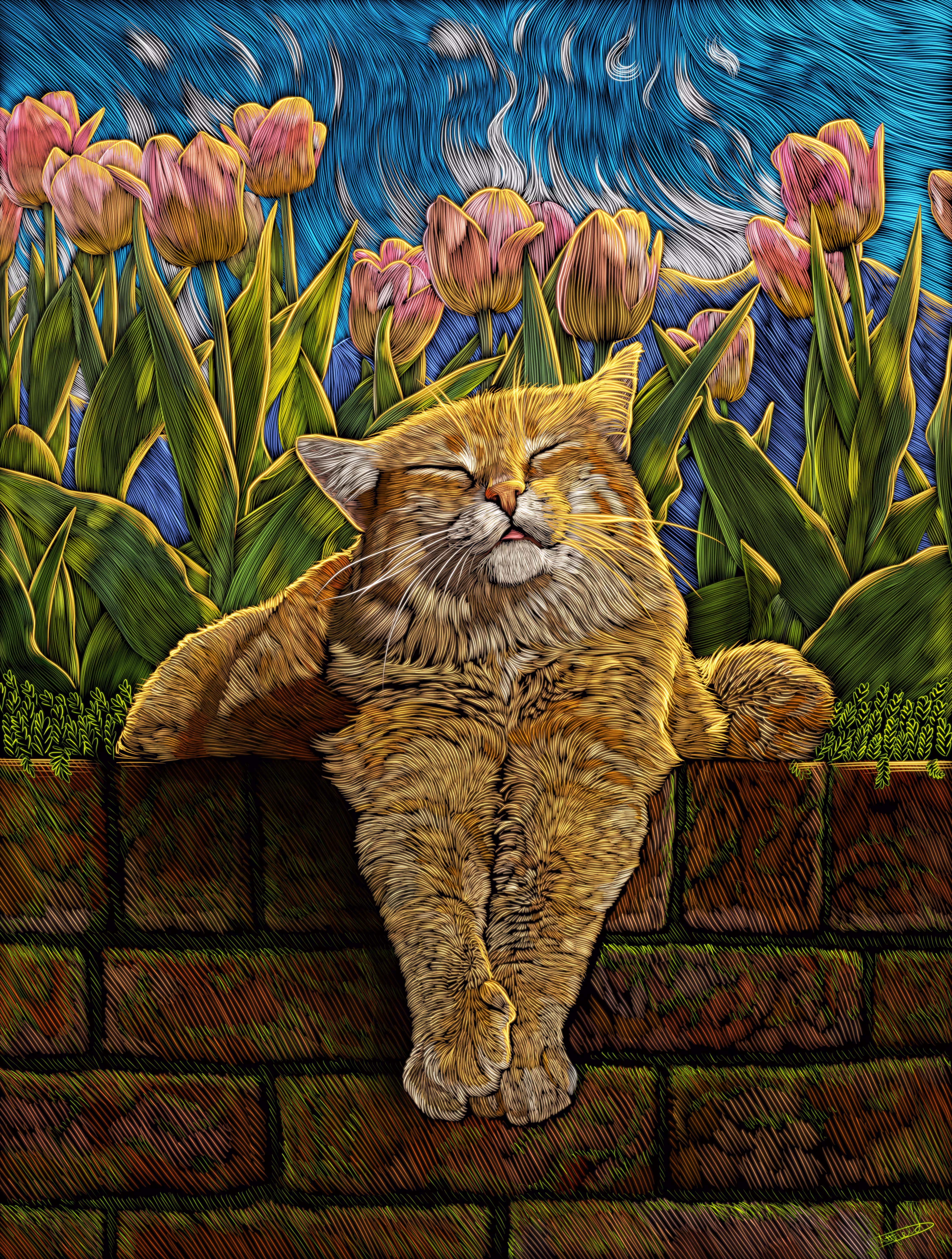 Catnap