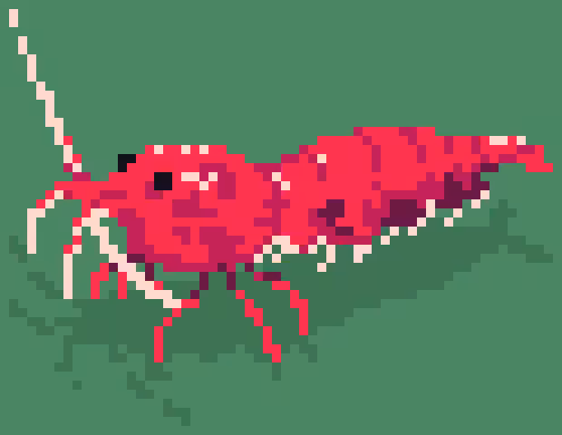 Shrimp