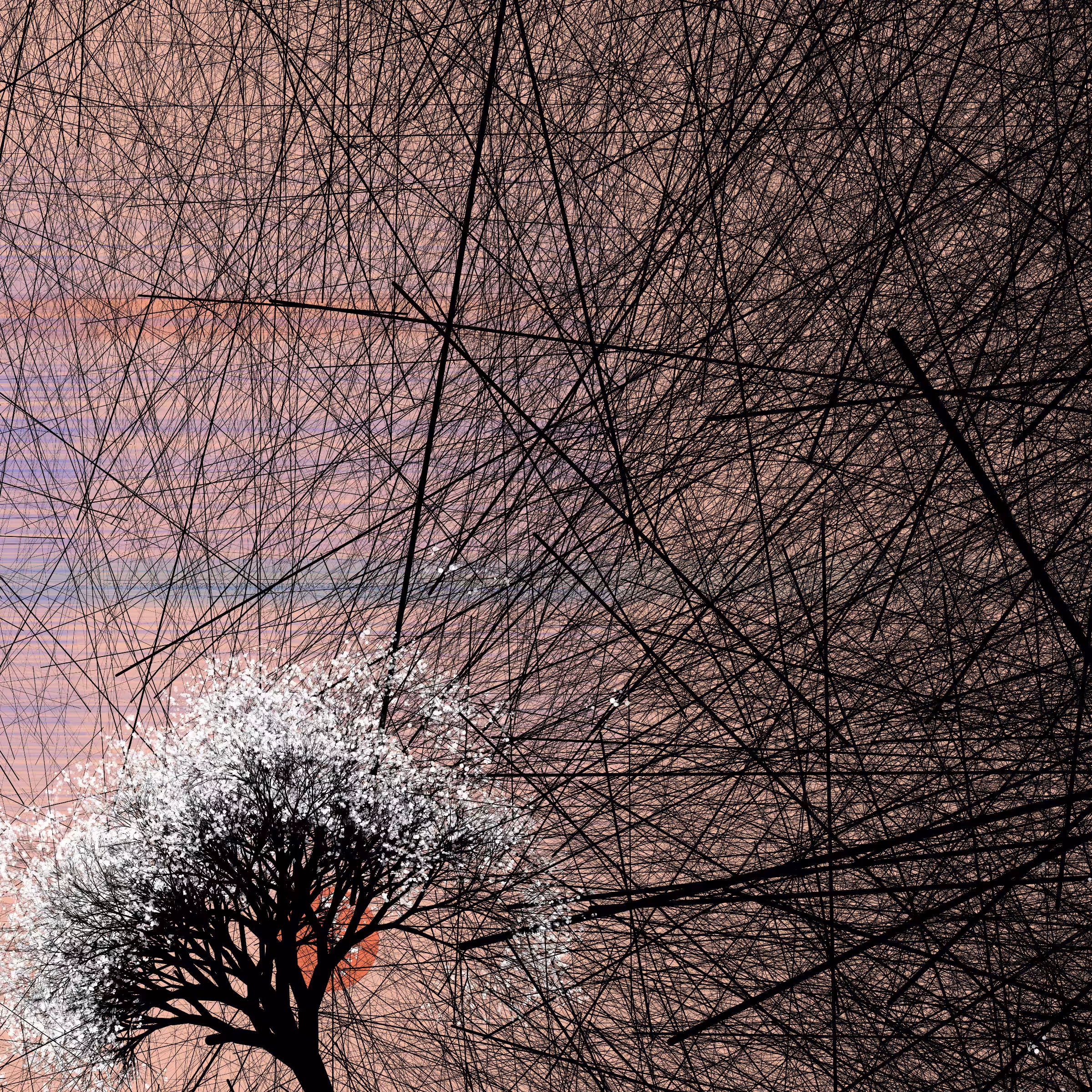 conversation with the wind #967