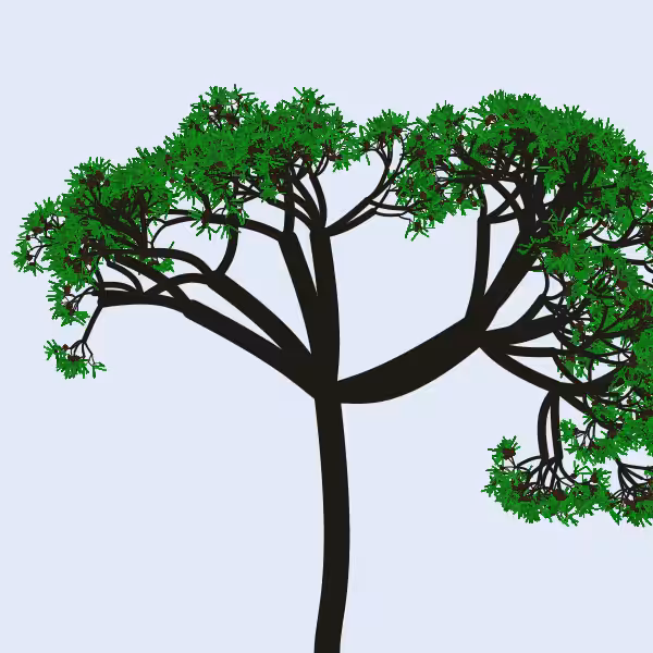 Procedural Maritime Pine 717441