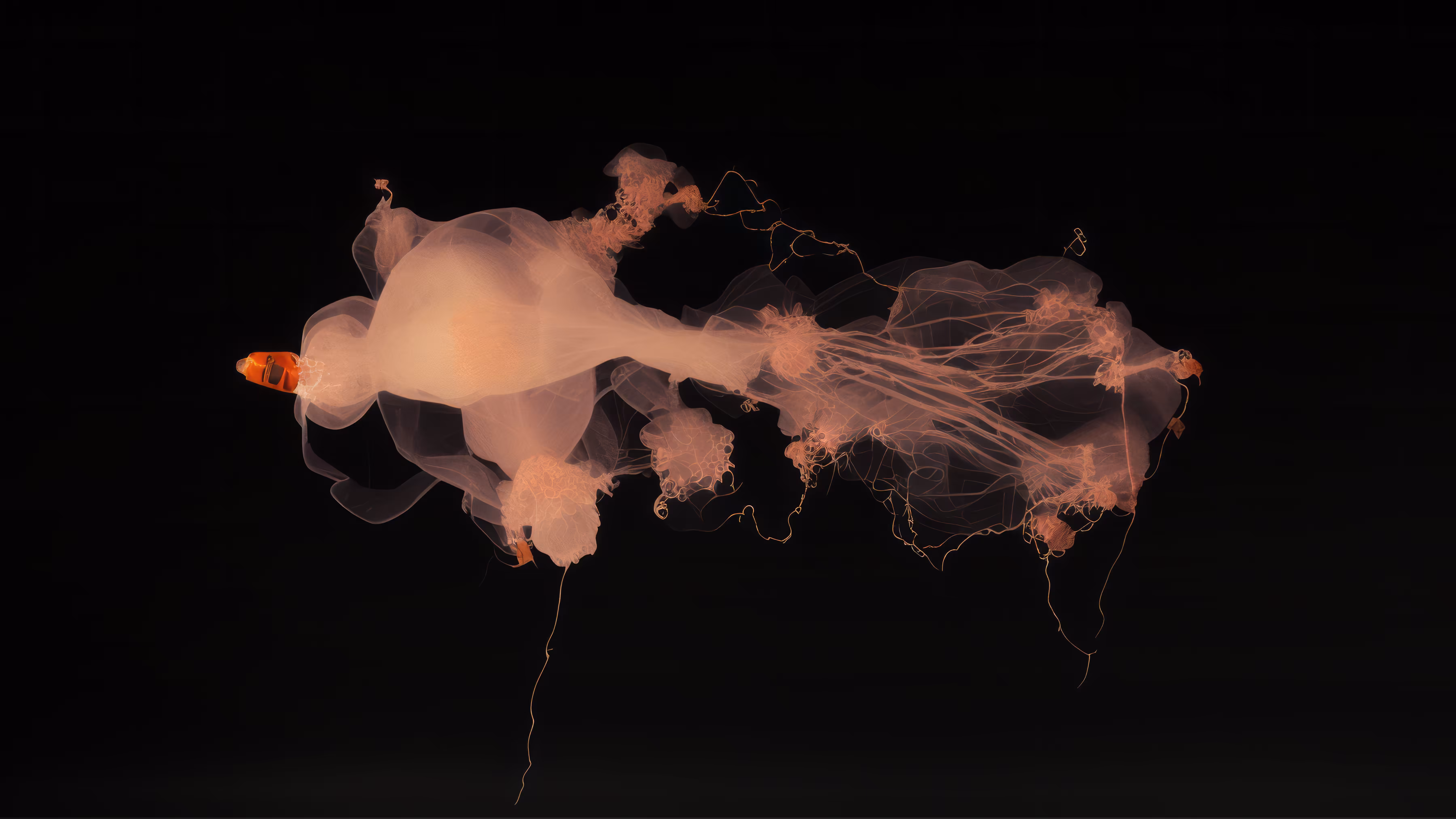 Collisions #5