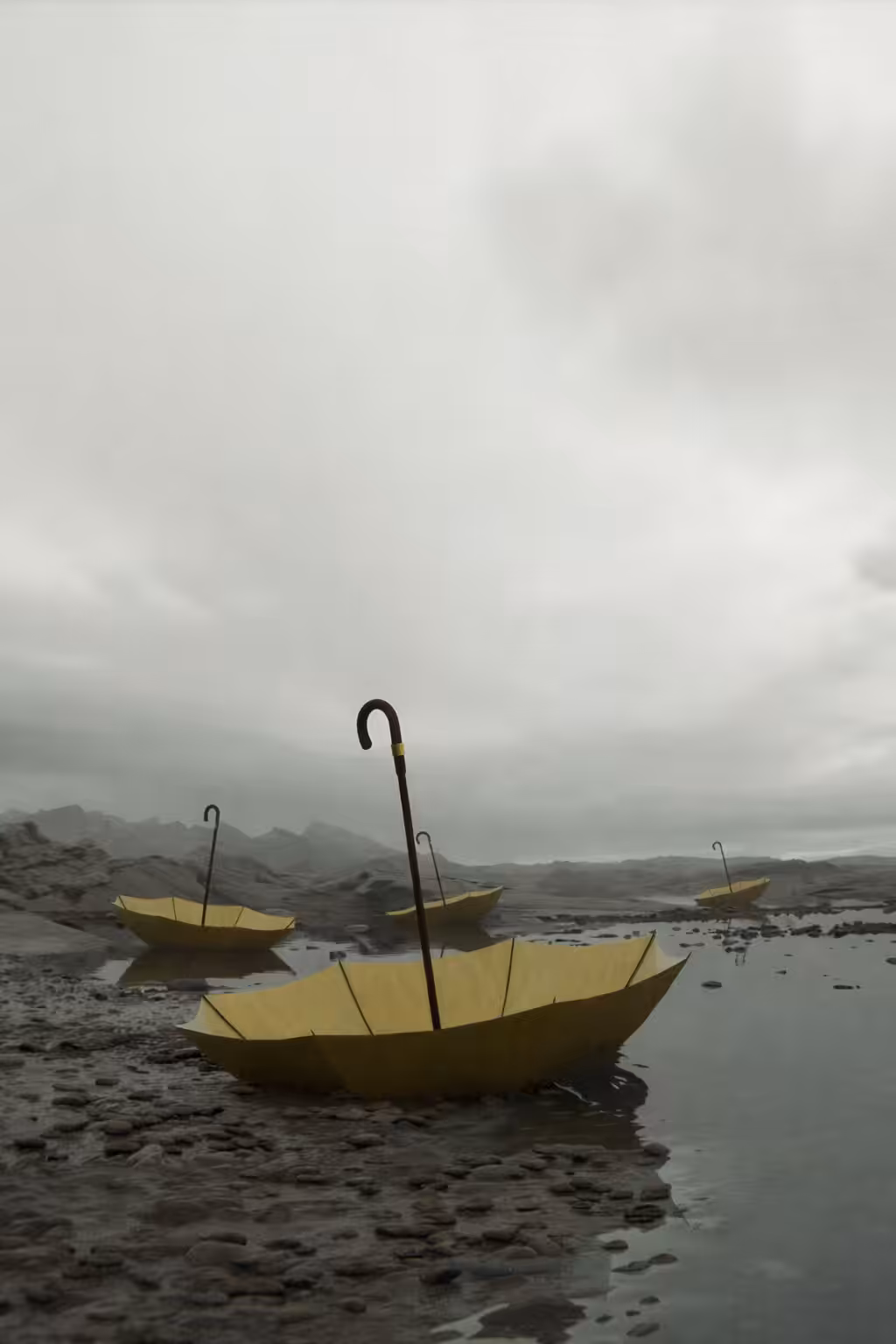 Lost Umbrella