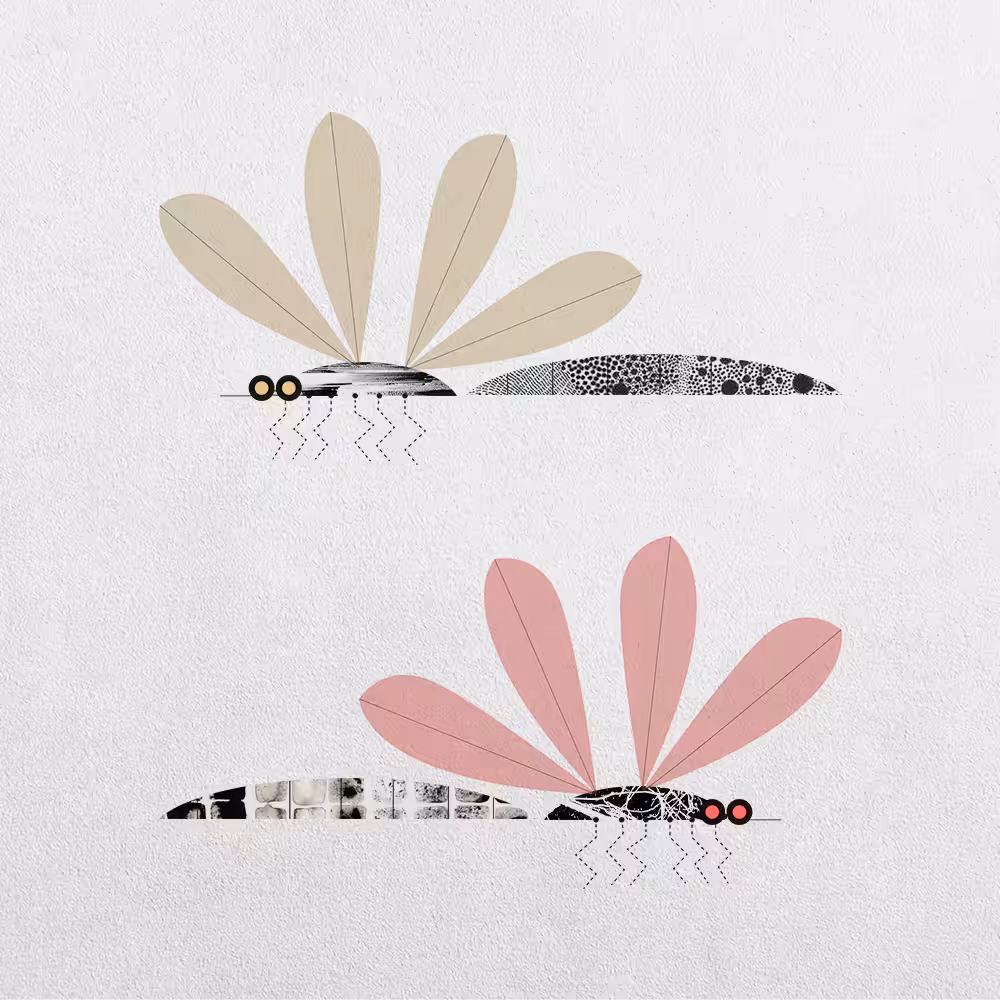 Mosquito Abstraction #26