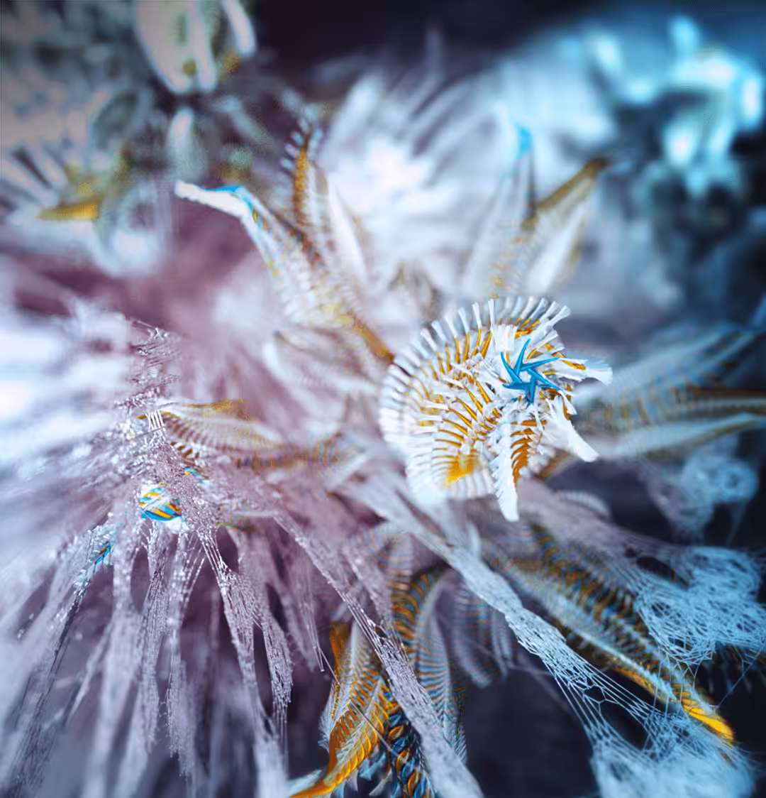 Flower of the deep ocean
