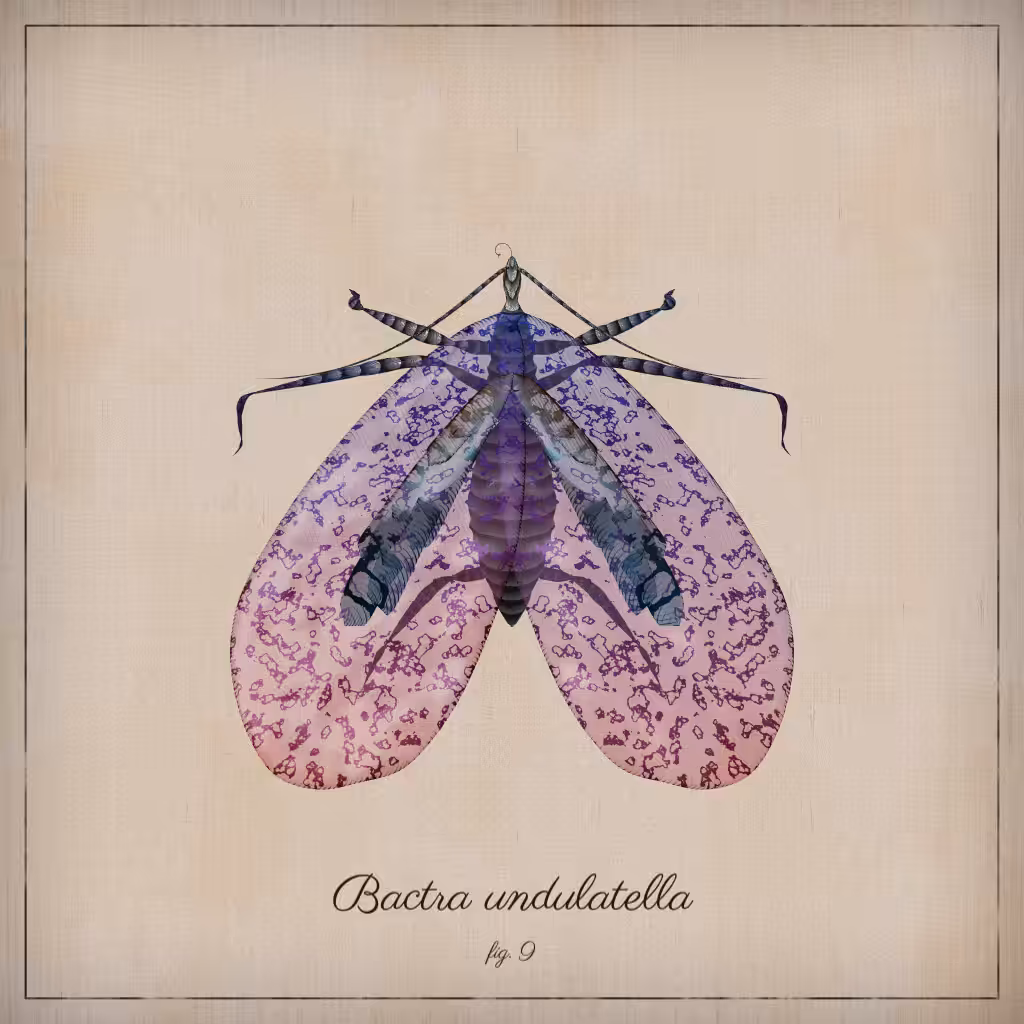 ProcGen Entomology #455