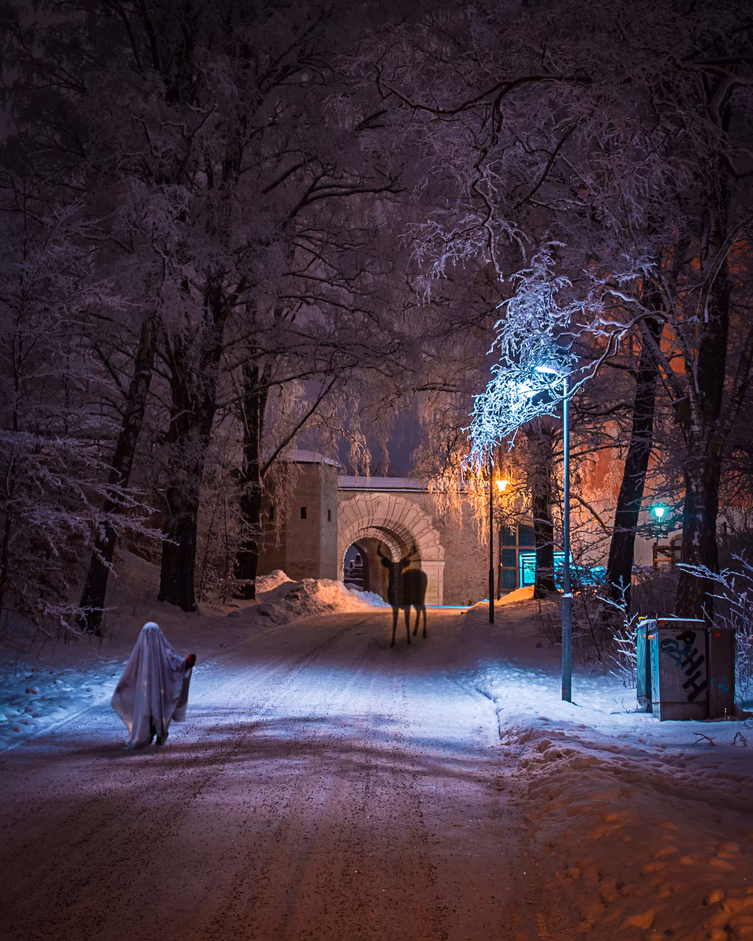Vibrant Winter