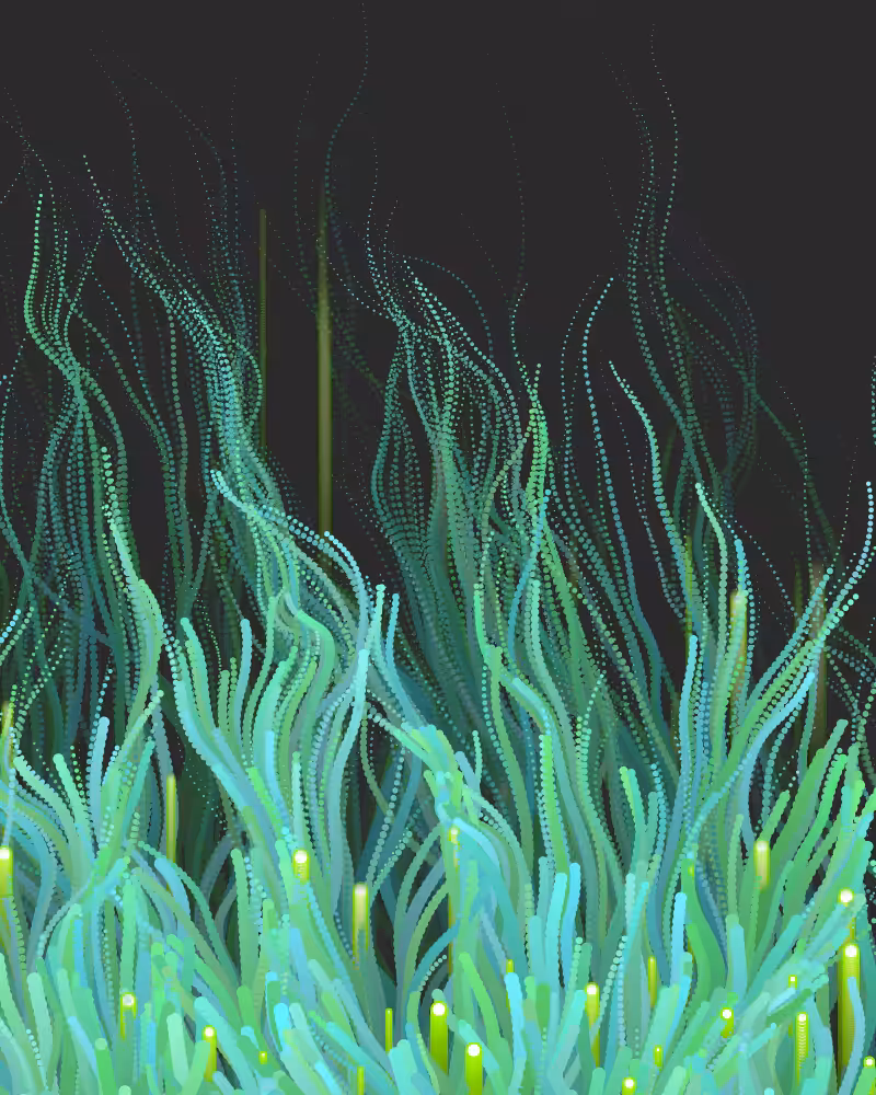 Waterweed #46