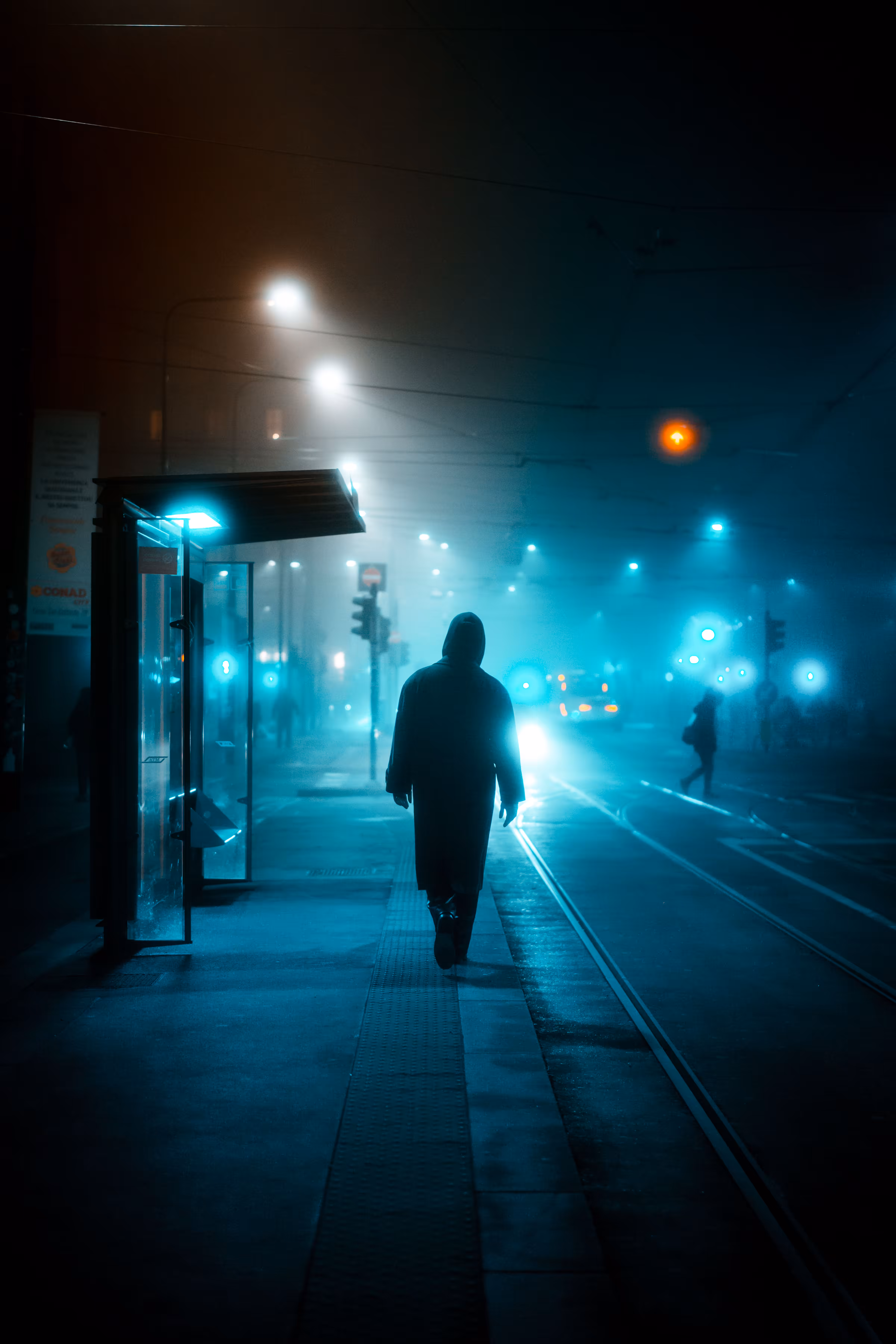 Into The Mist