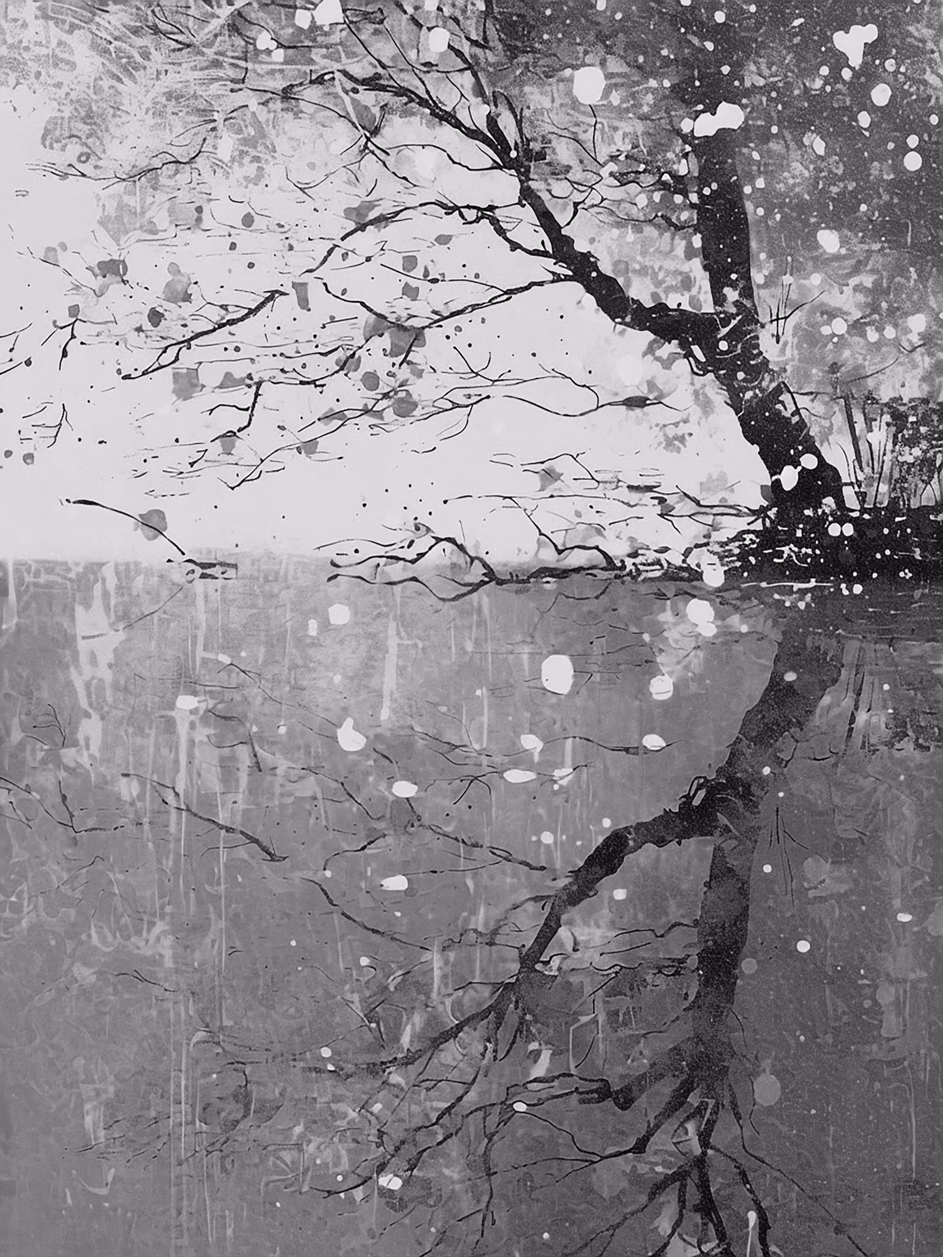 Reflection