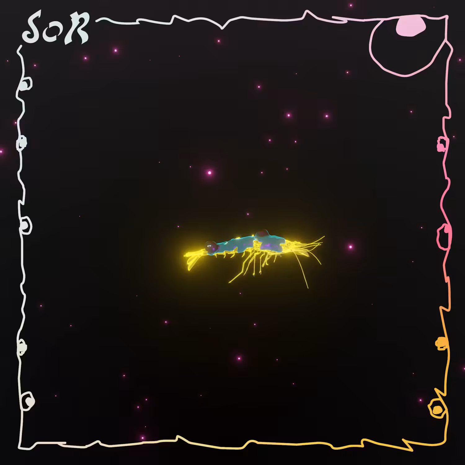 Shrimp #434