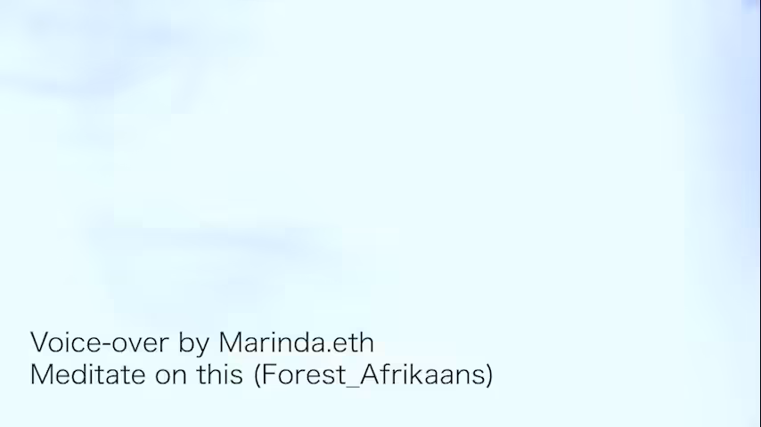 Meditate on this (Forest_Afrikaans)