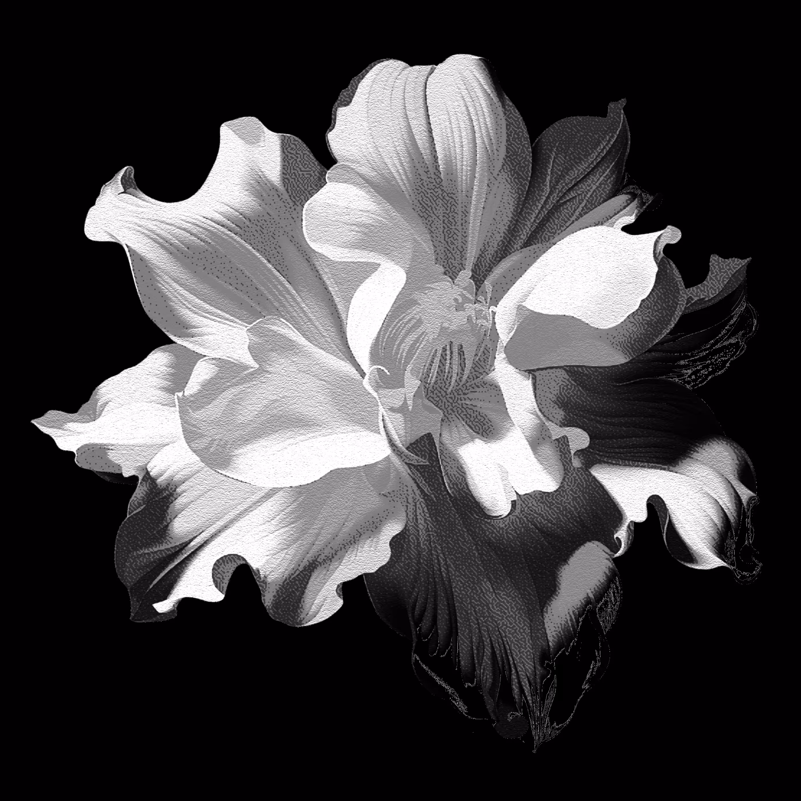 Hybrid flower - Movement