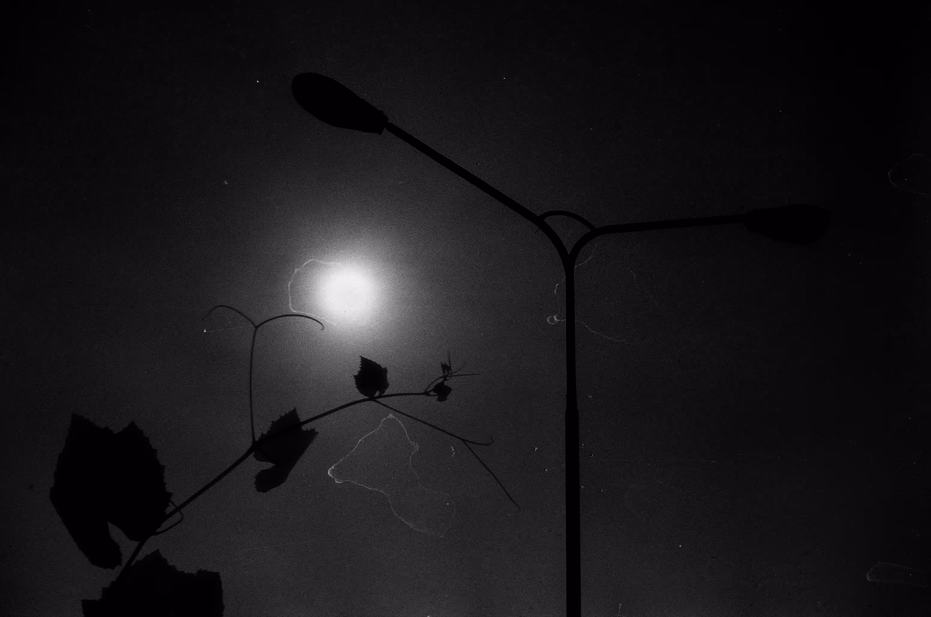 Slowly Goes the Night