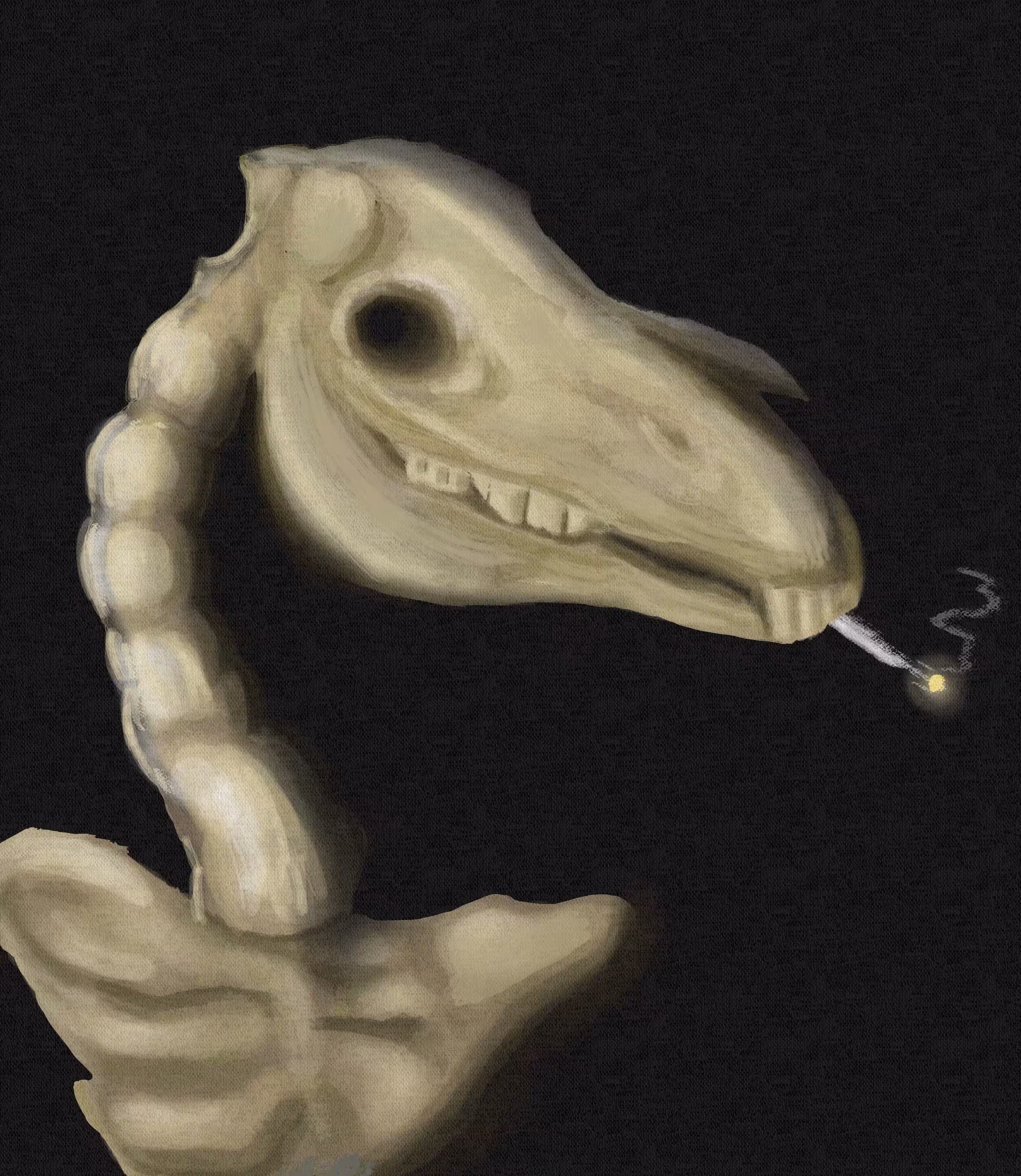 Skull of Zebra with Burning Cigarette