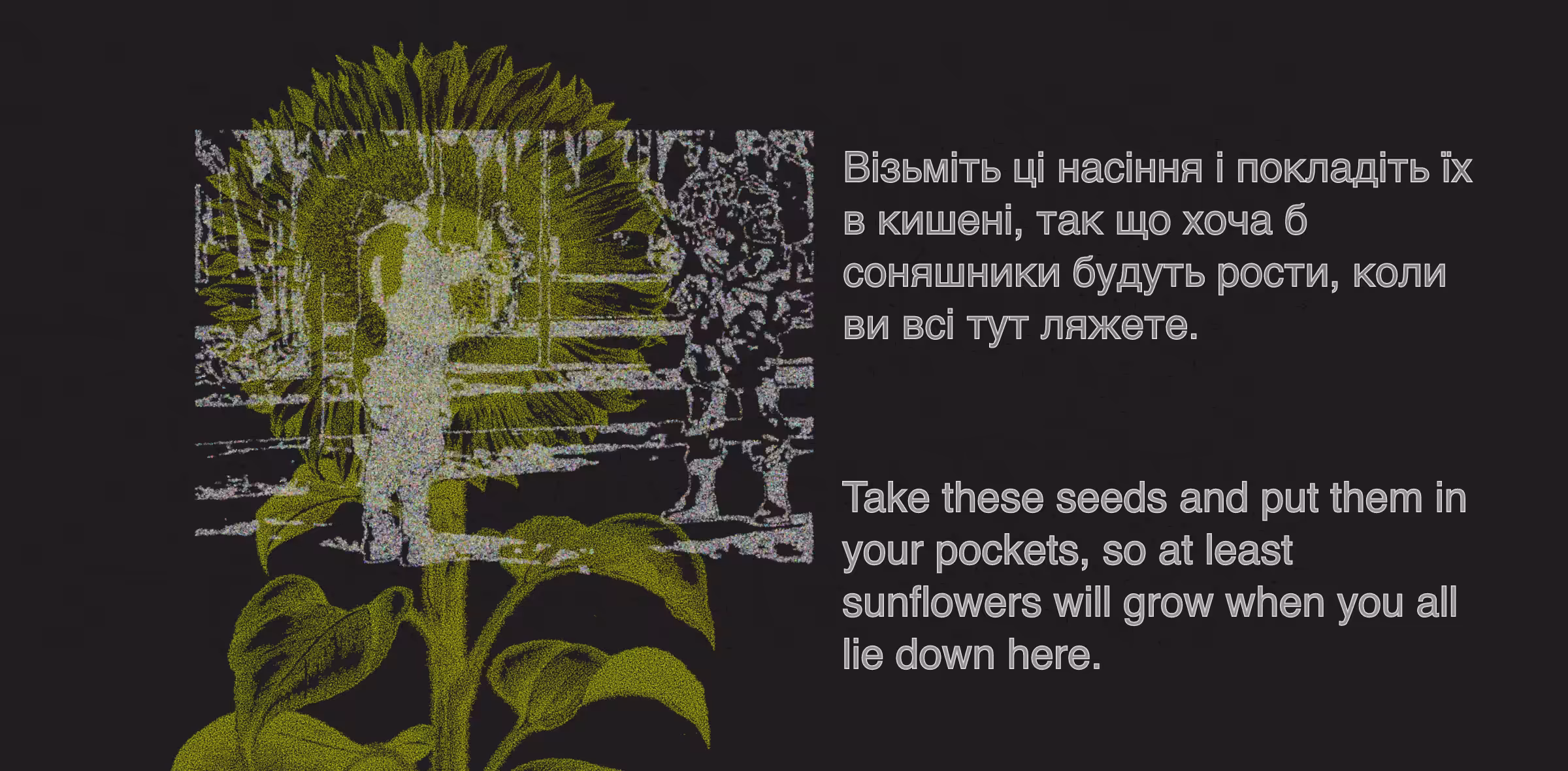 A Great Hour: Take these seeds