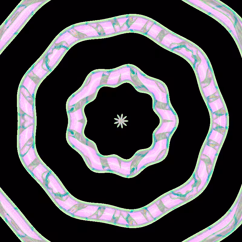 Flowers of the noise dimension #19