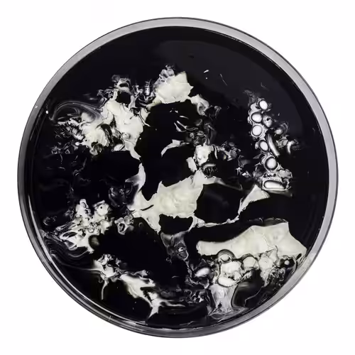 The Petri Dish project - Ontogenesis 01 #1