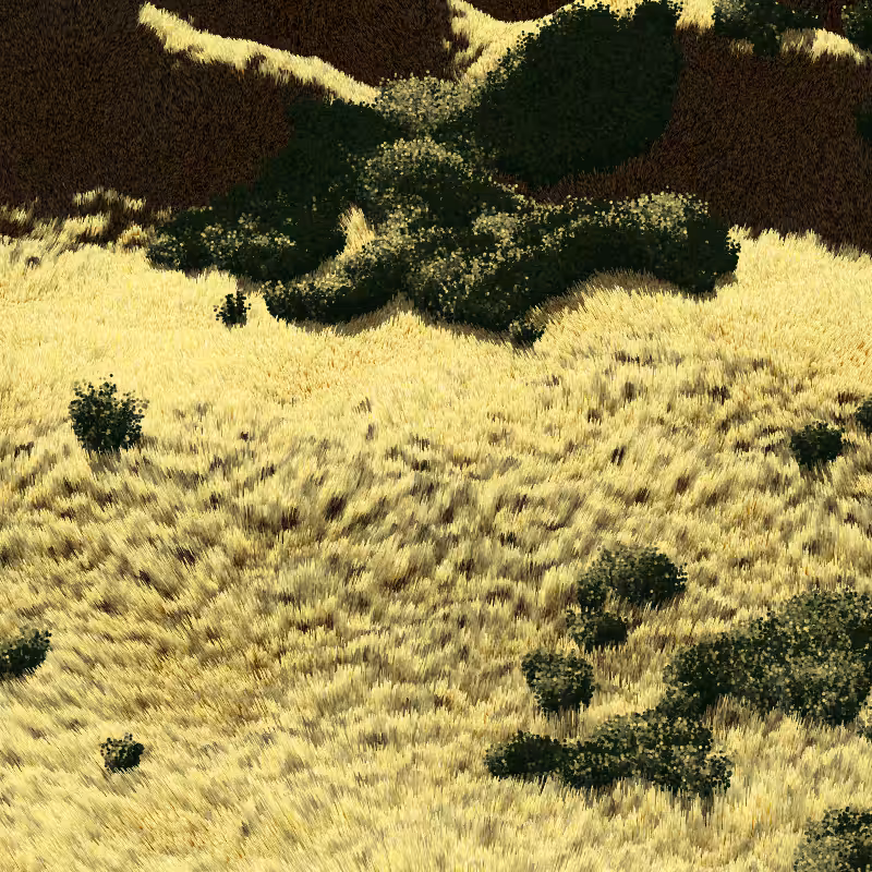 California Hills in Late Sun #166