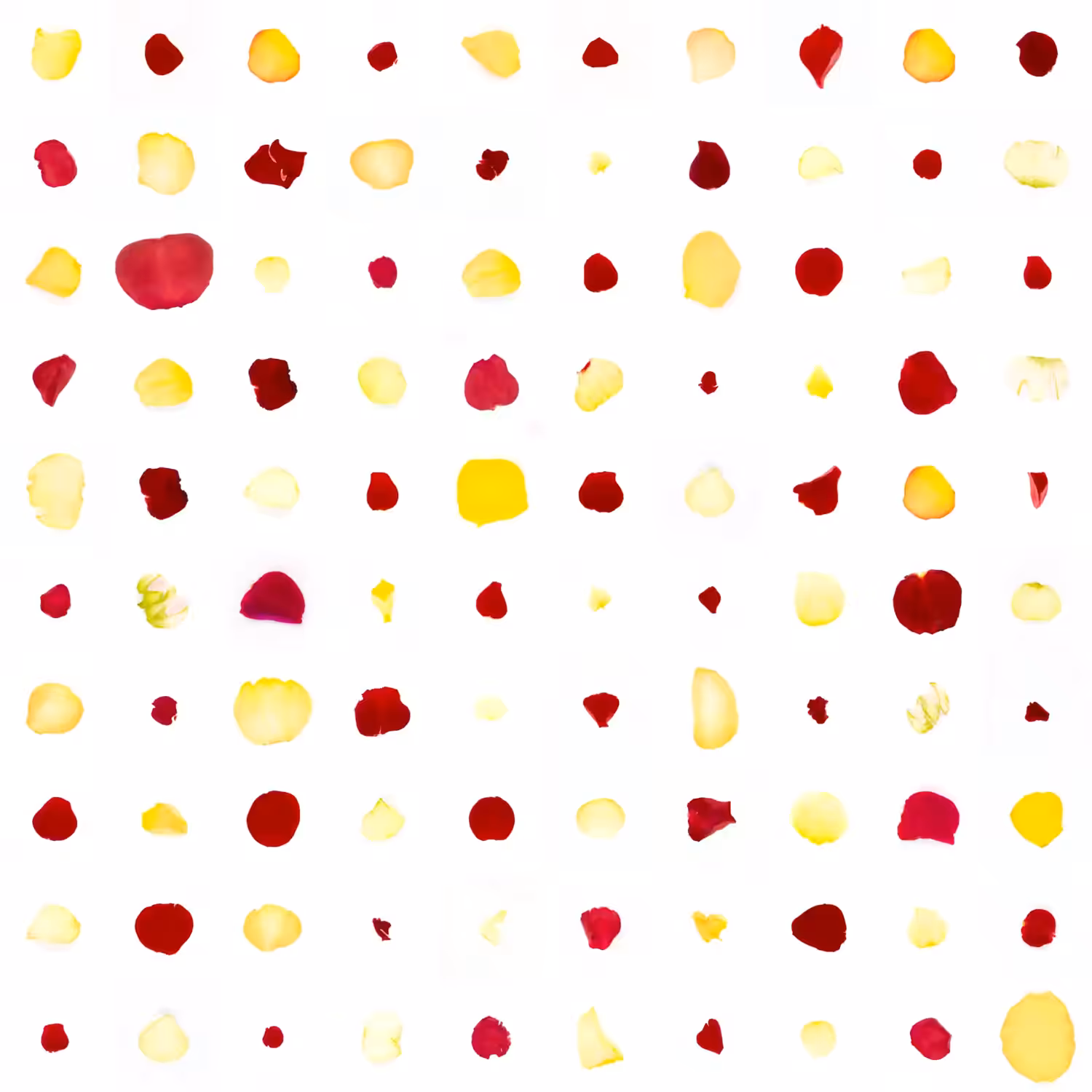 Infinite Petals 10x10#23