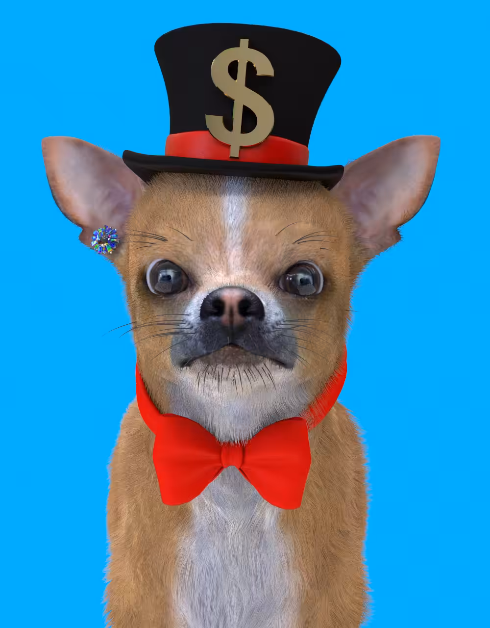 ZEUS DOG