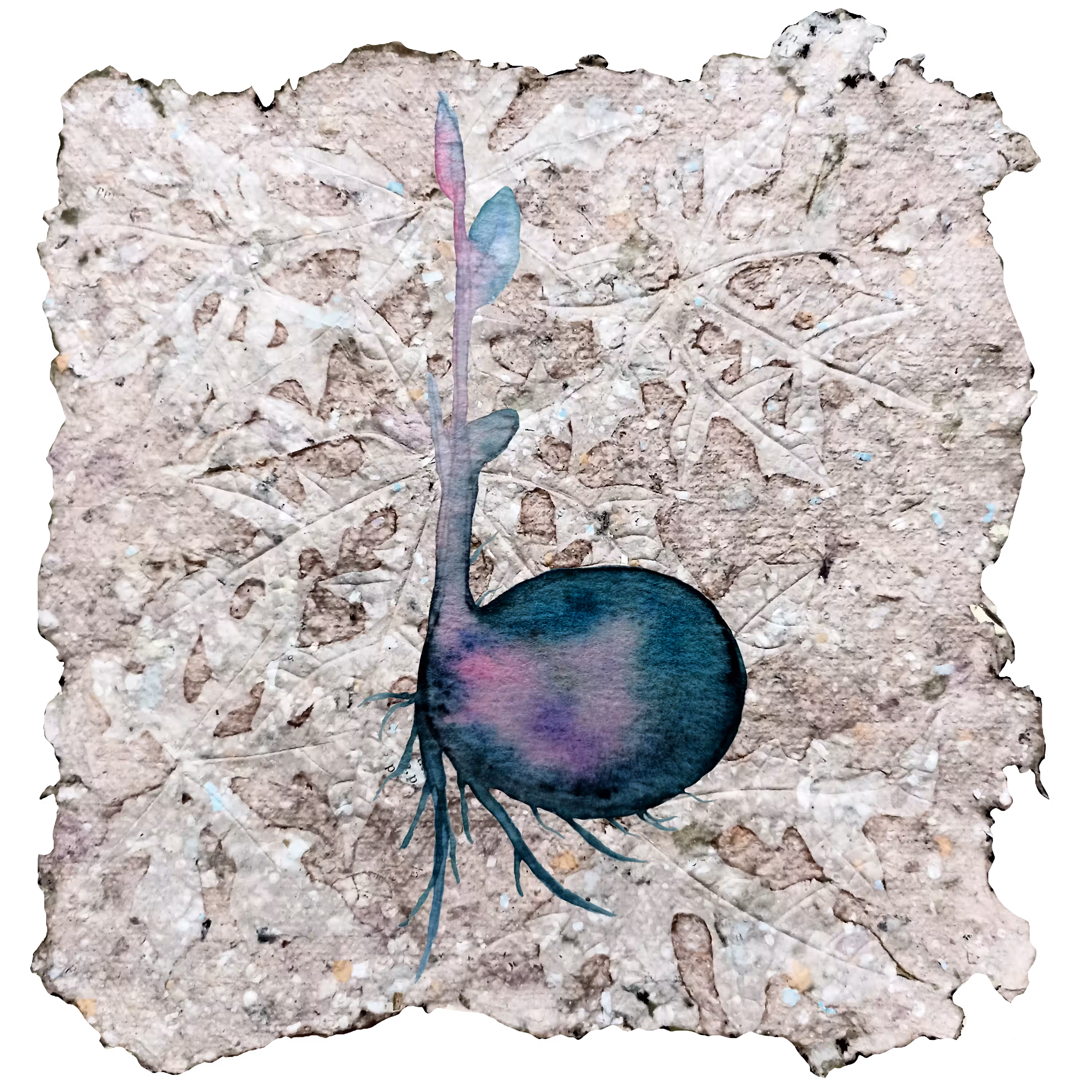 THE SEED 2