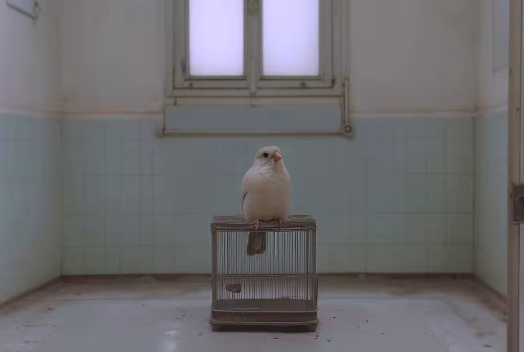 Rodeo posts: Bird on the Wire