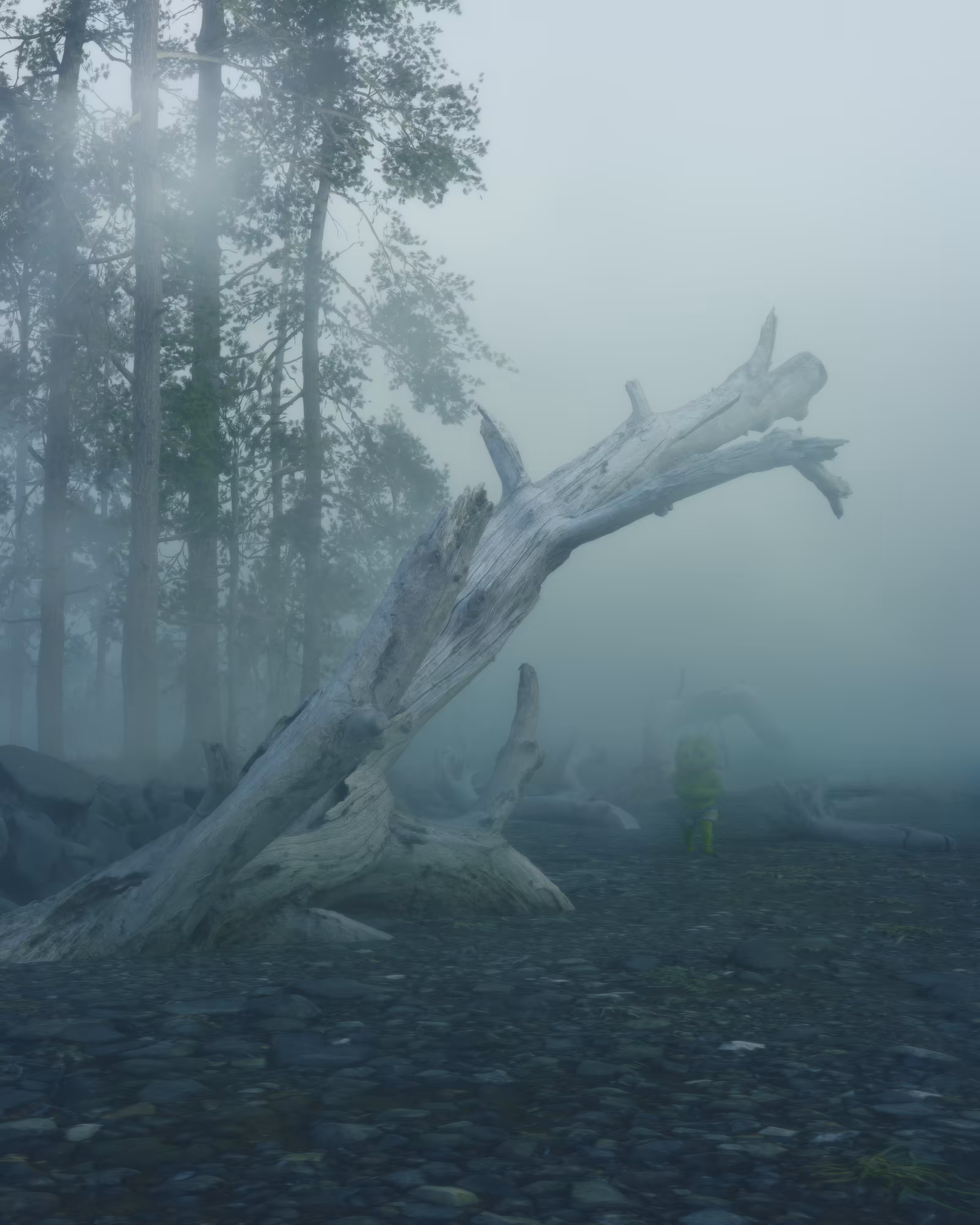 Between Two Days: After The Fall